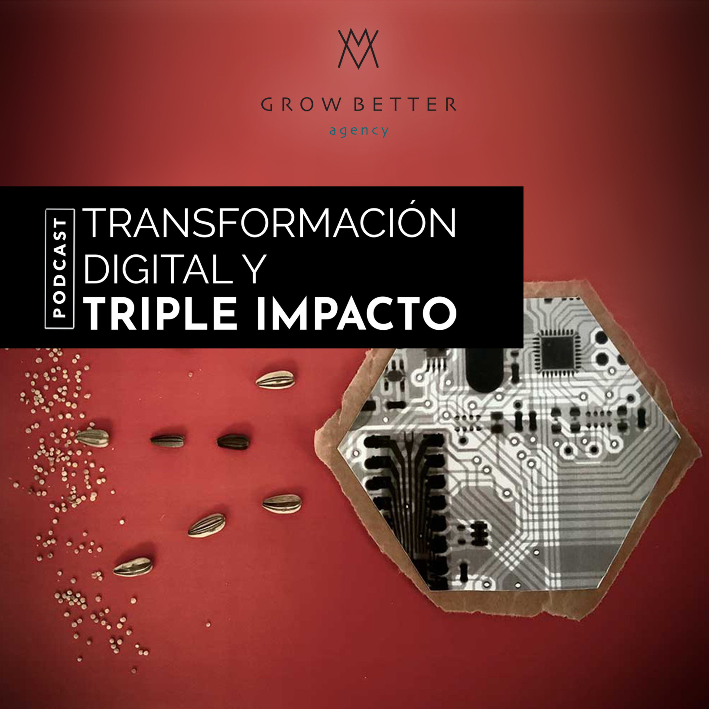 GrowBetter Agency - Transformación digital y triple impacto