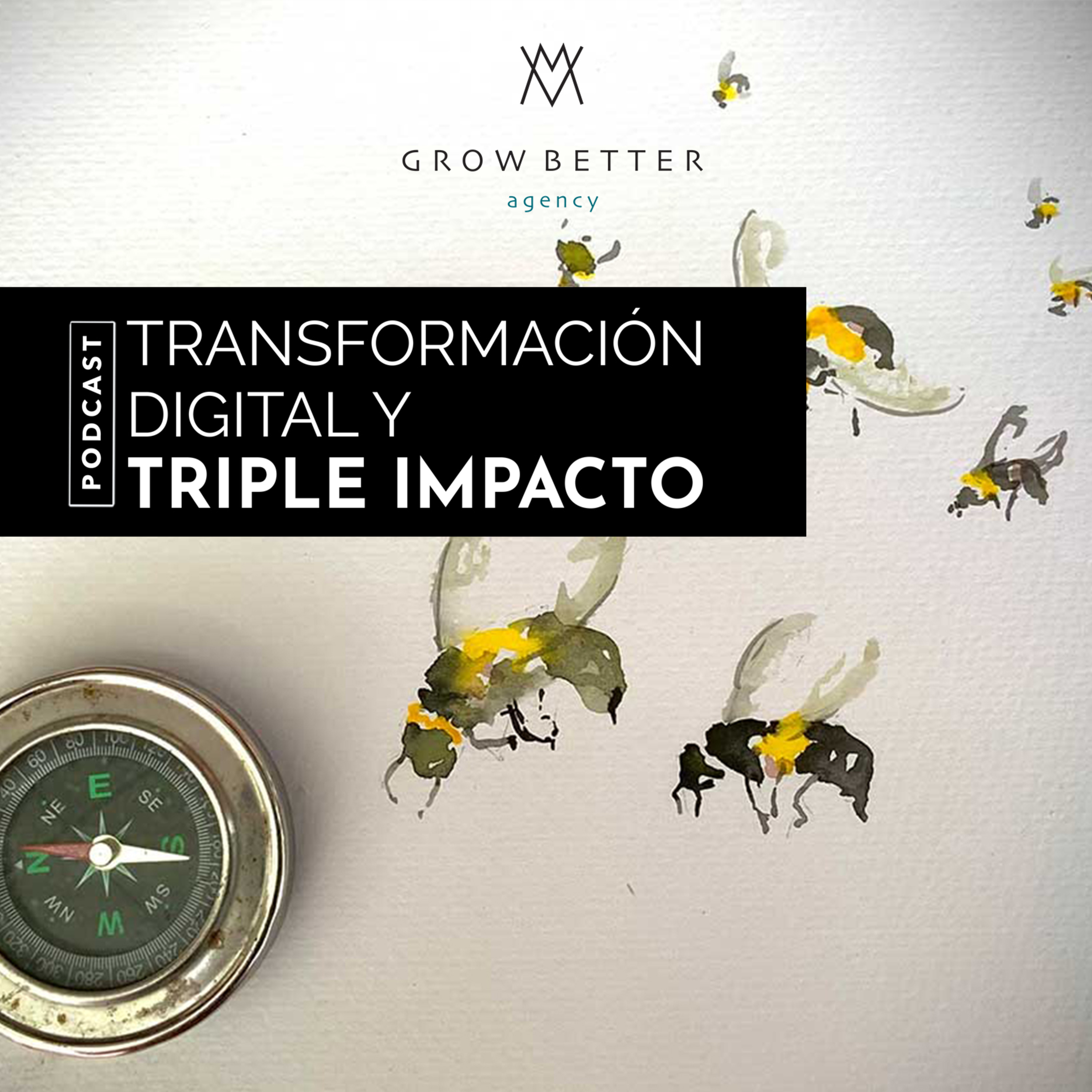 GrowBetter Agency - Transformación digital y triple impacto