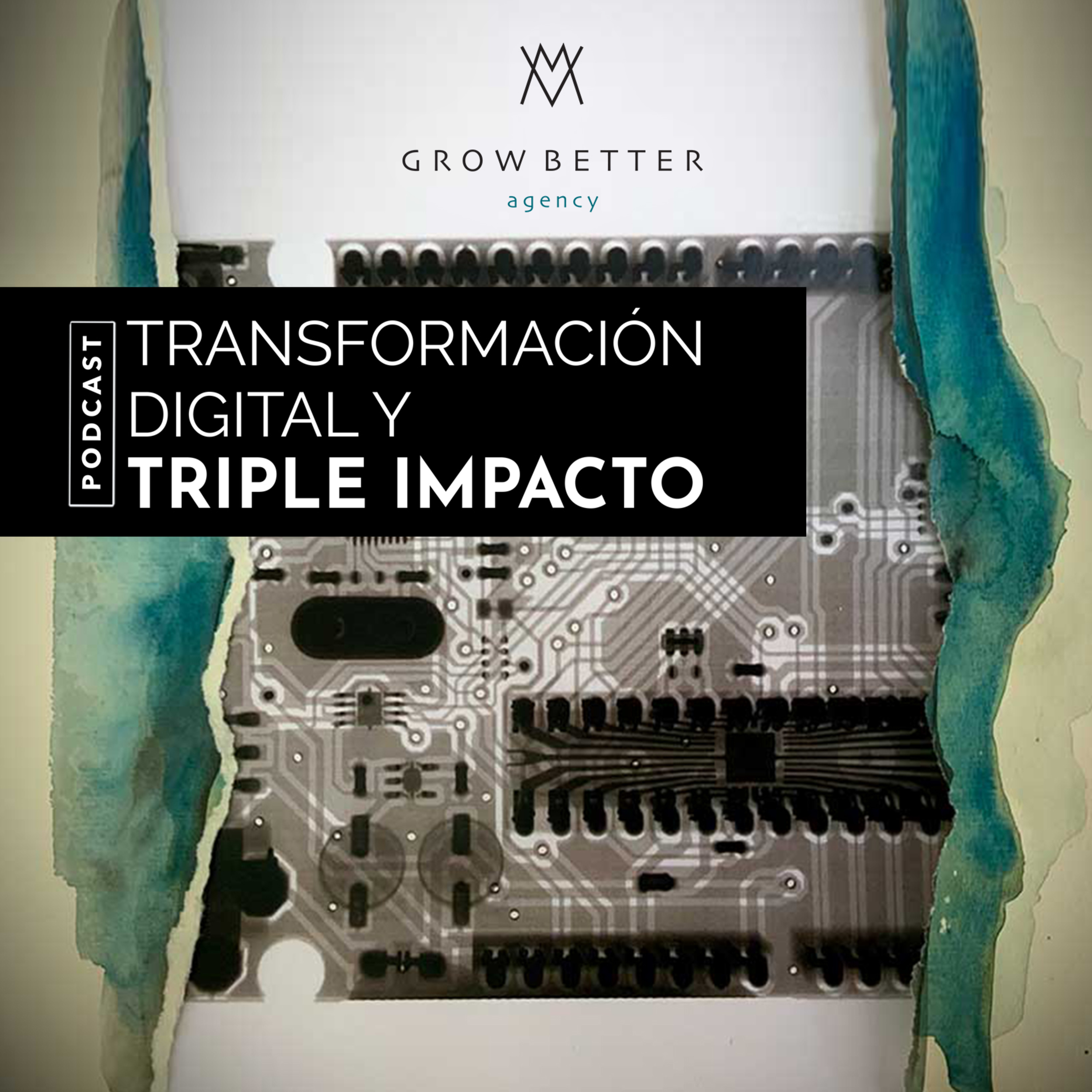 GrowBetter Agency - Transformación digital y triple impacto