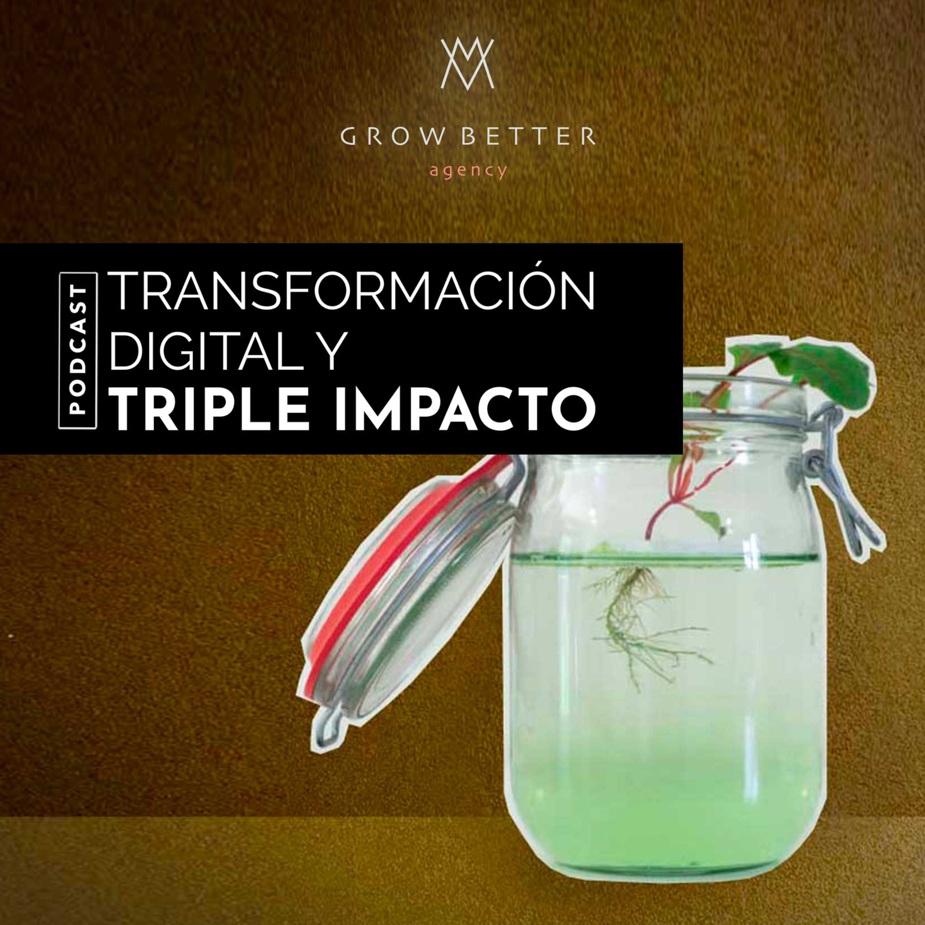 GrowBetter Agency - Transformación digital y triple impacto