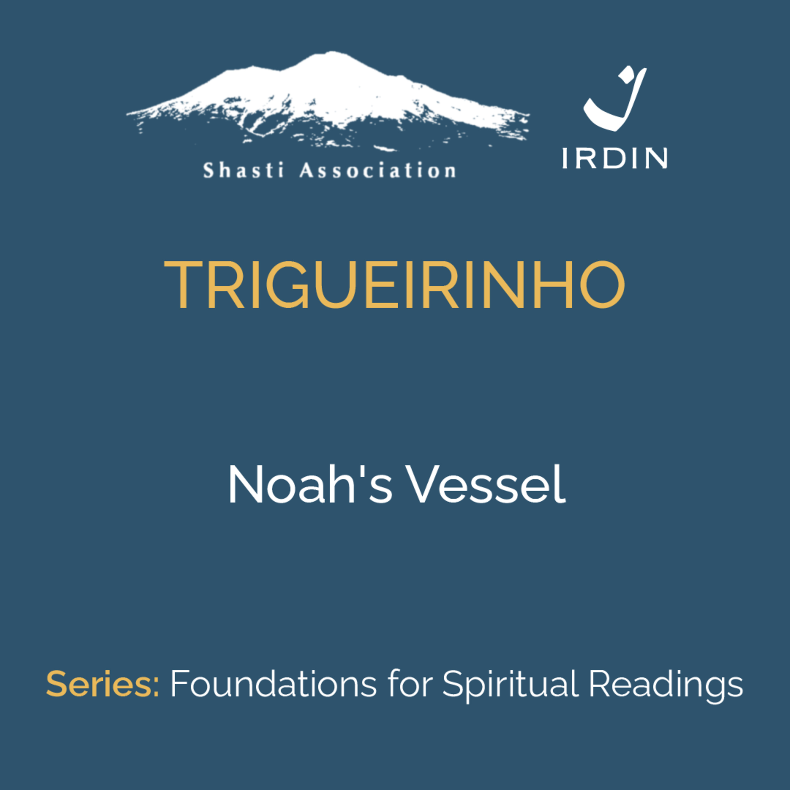 Noah's Vessel episode artwork
