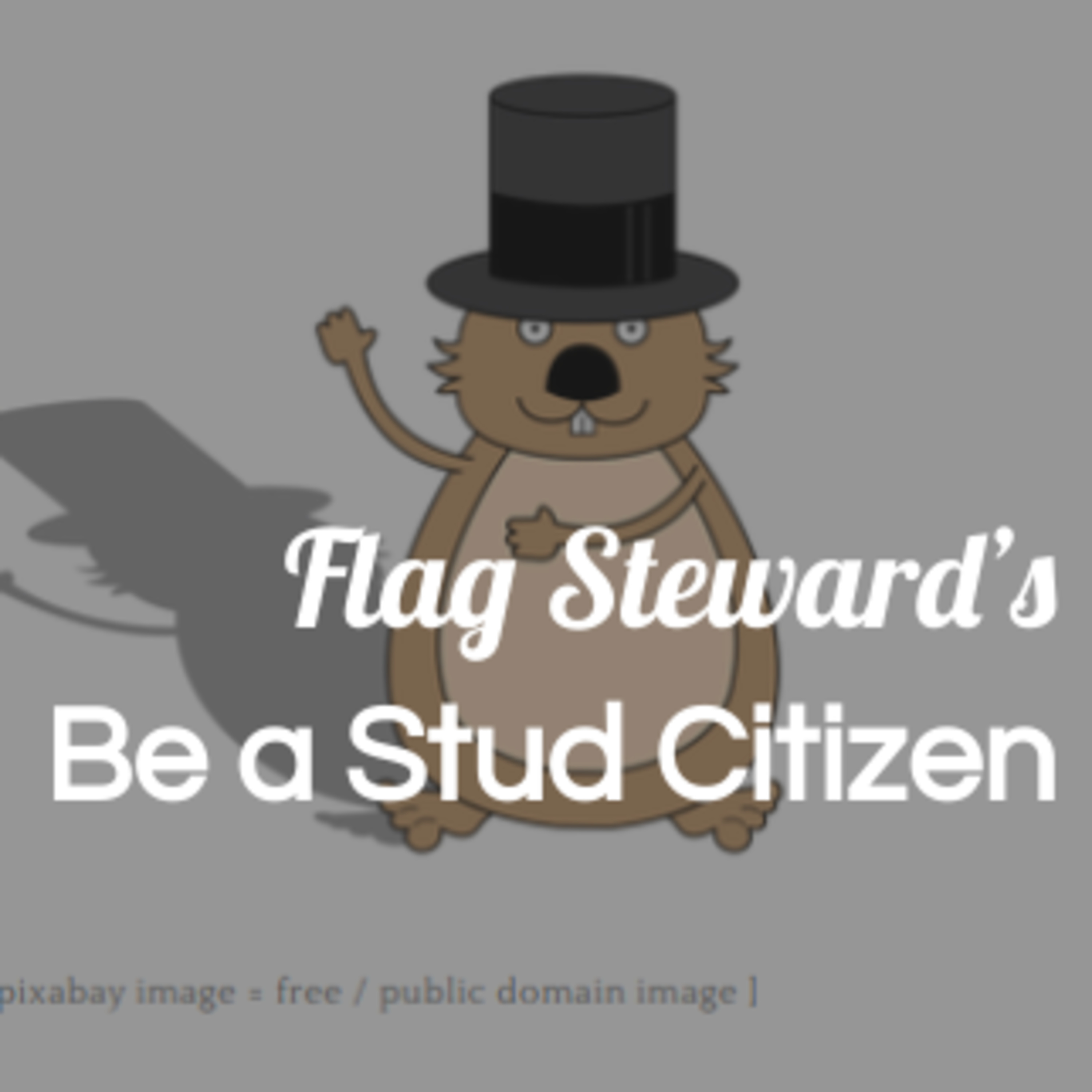 Be a Stud Citizen - 2/2/21 Reminders from Our Flag episode artwork