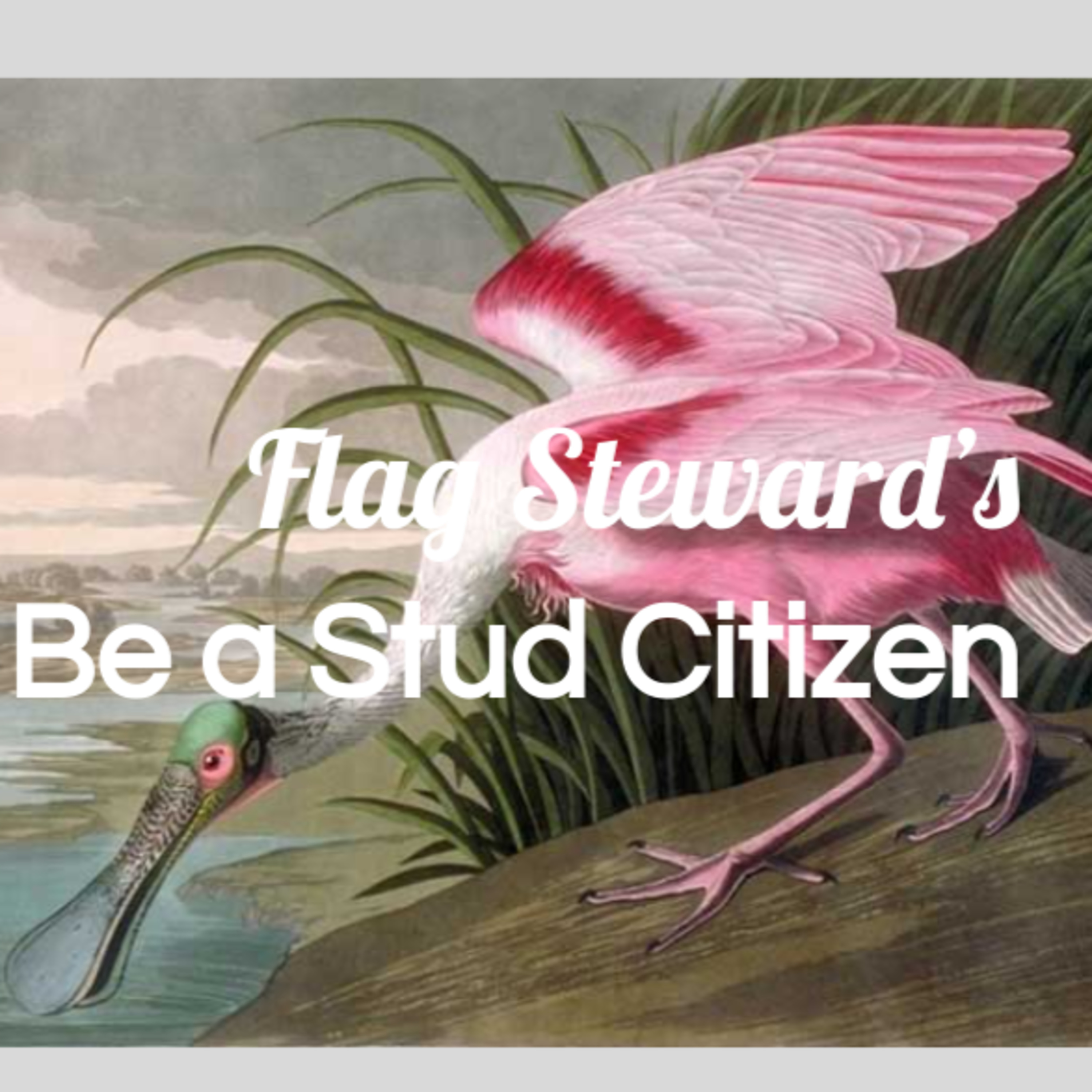 Be a Stud Citizen - Reminders from Our Flag for Apr. 26, 2021 celebrating Nat'l AUDUBON DAY episode artwork
