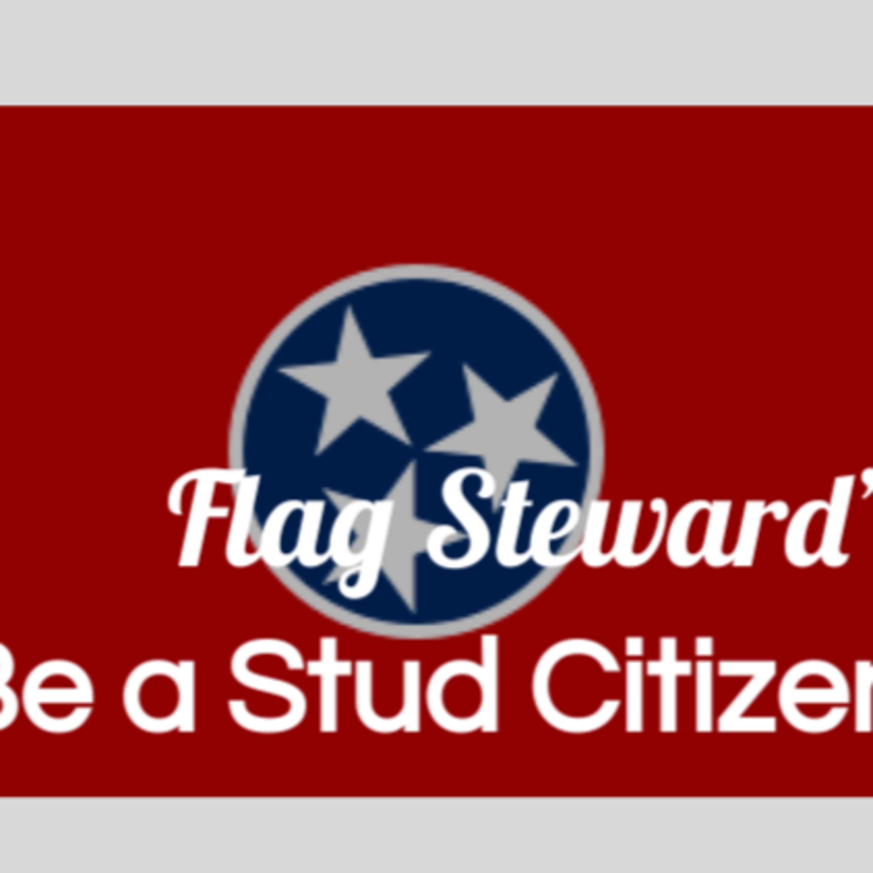 Be a Stud Citizen - Reminders from Our Flag for June 4, 2021: recalling TN's statehood episode artwork
