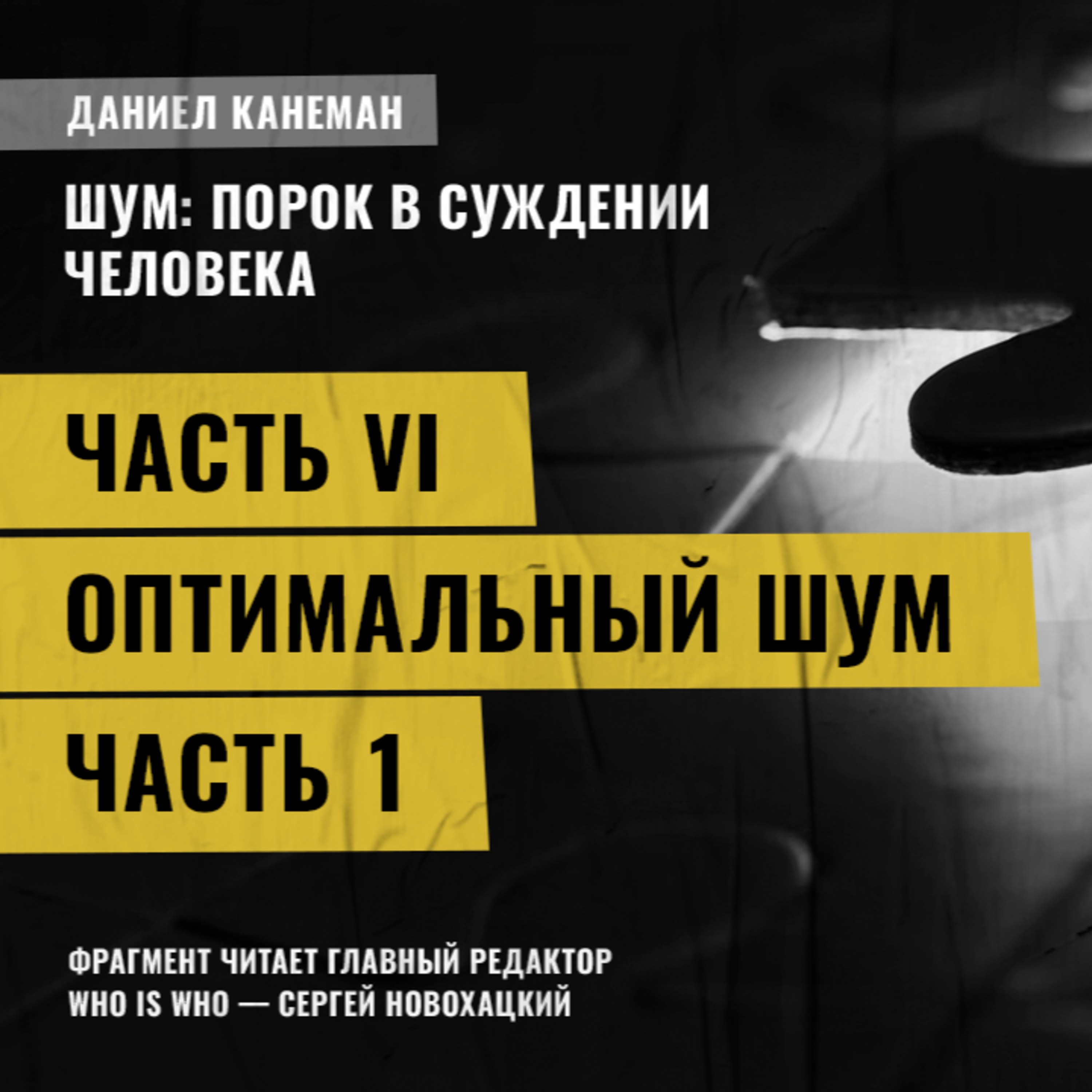 Оптимальный шум. Часть1. Даниэль Канеман [Шум: изъян в человеческом суждении]
