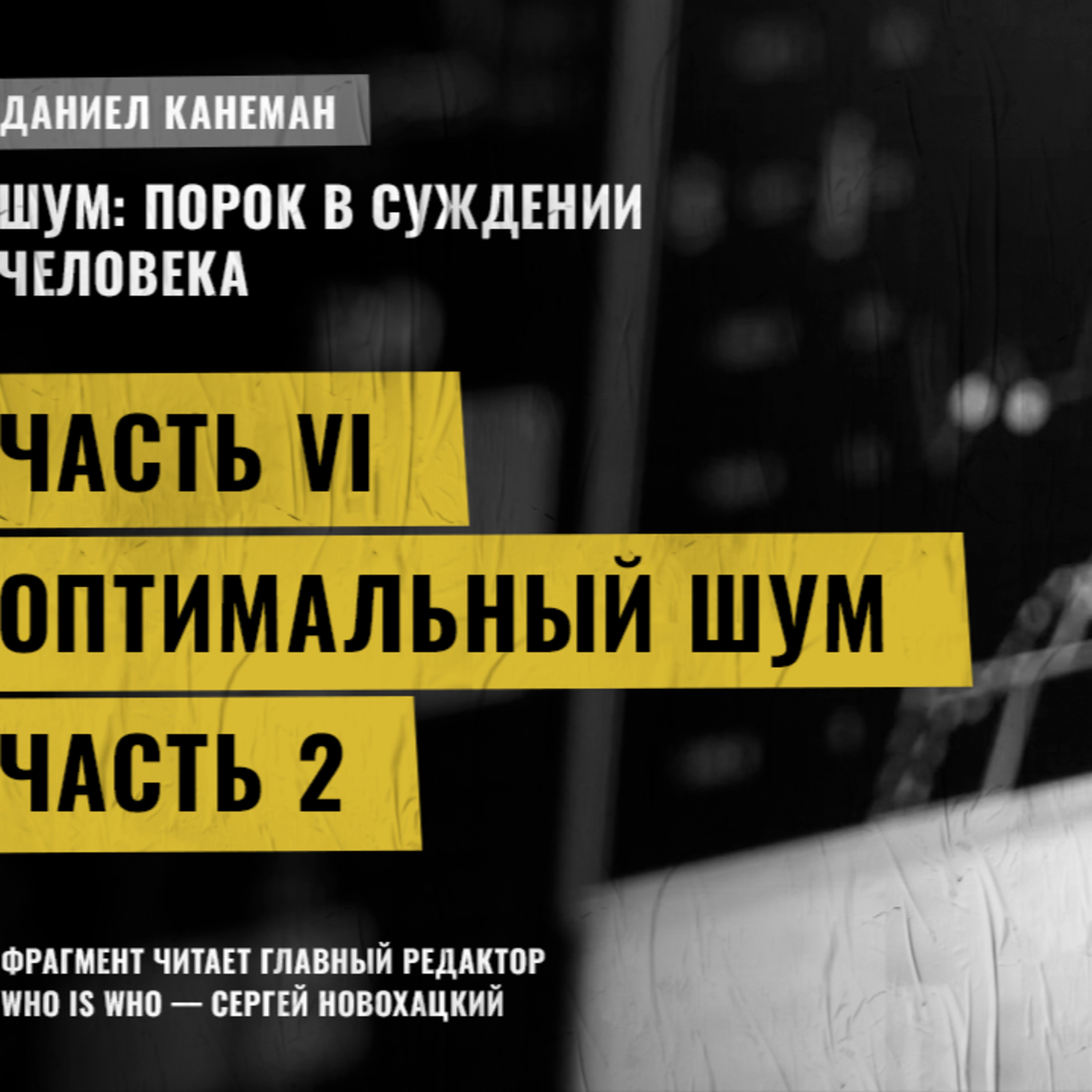 Оптимальный шум. Часть 2. Даниэль Канеман [Шум: изъян в человеческом суждении]