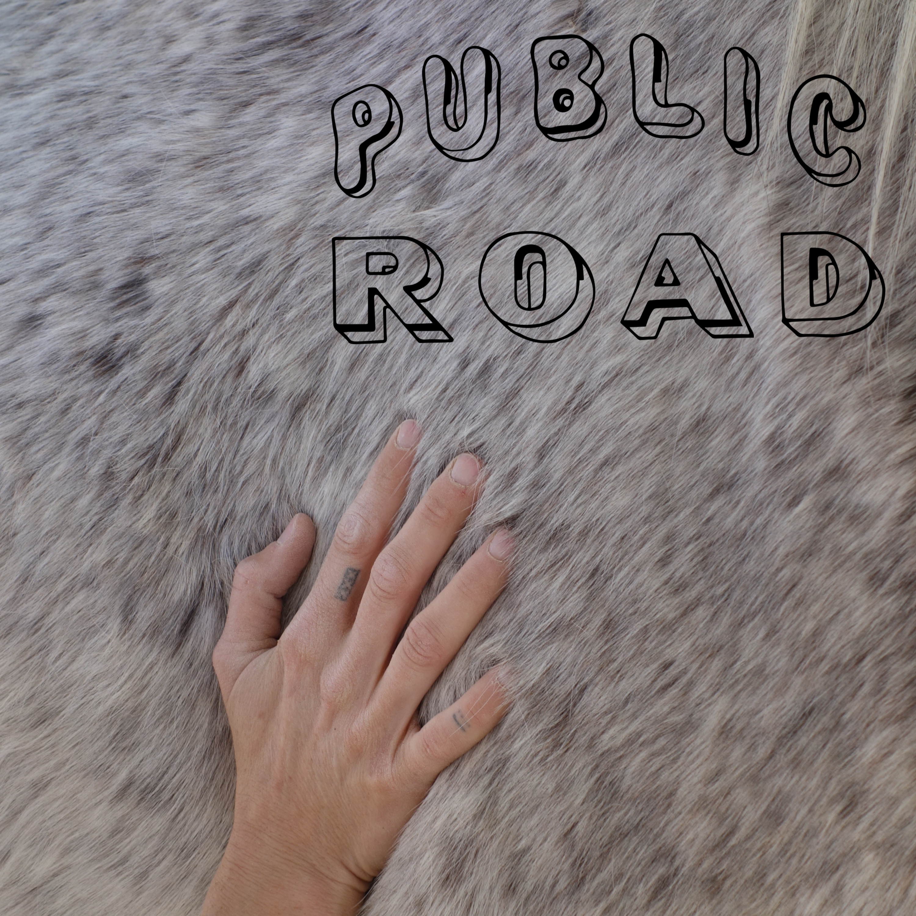 Rolfing for Horses