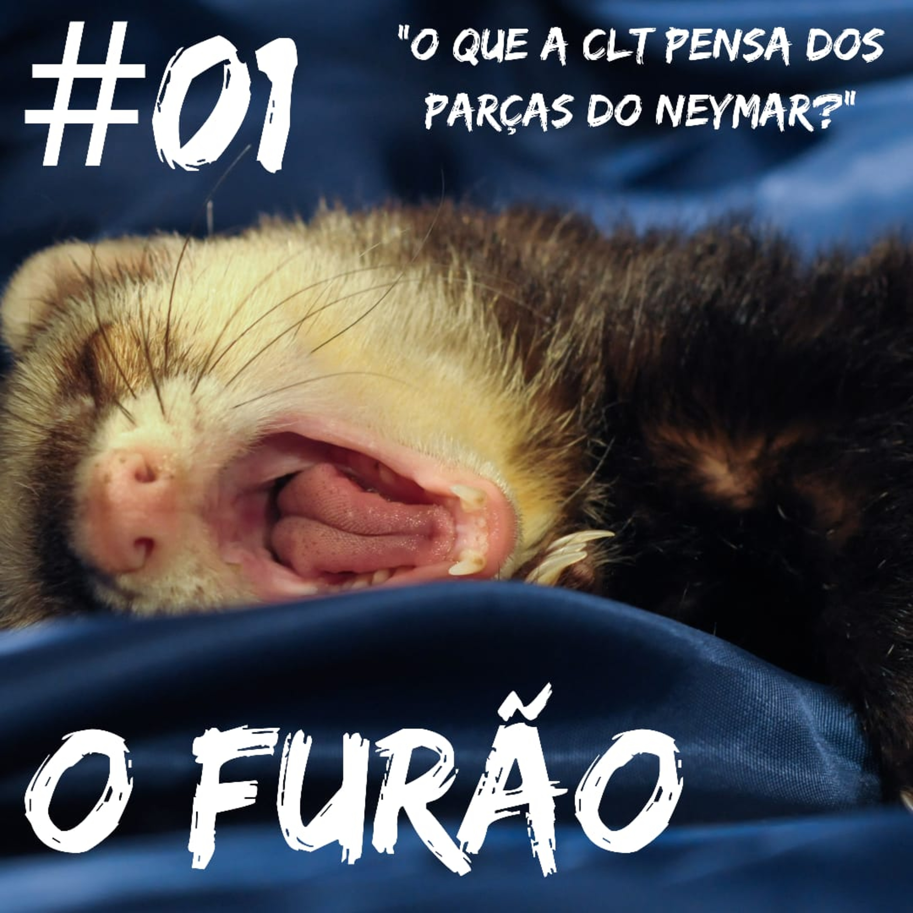 O Furão