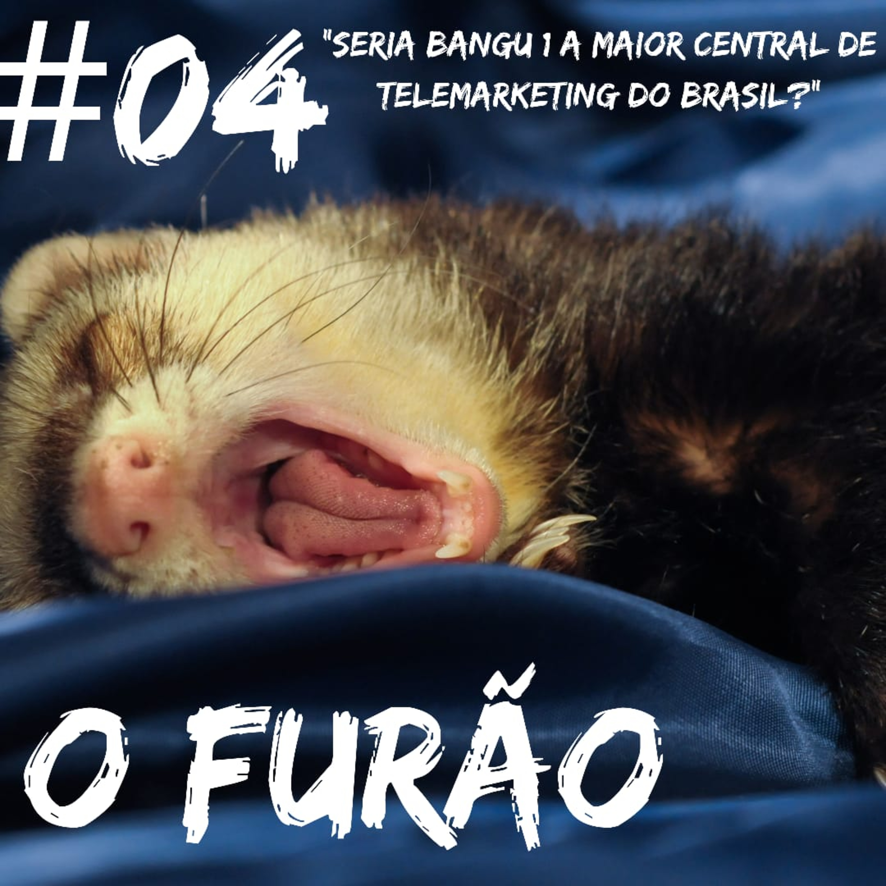 O Furão