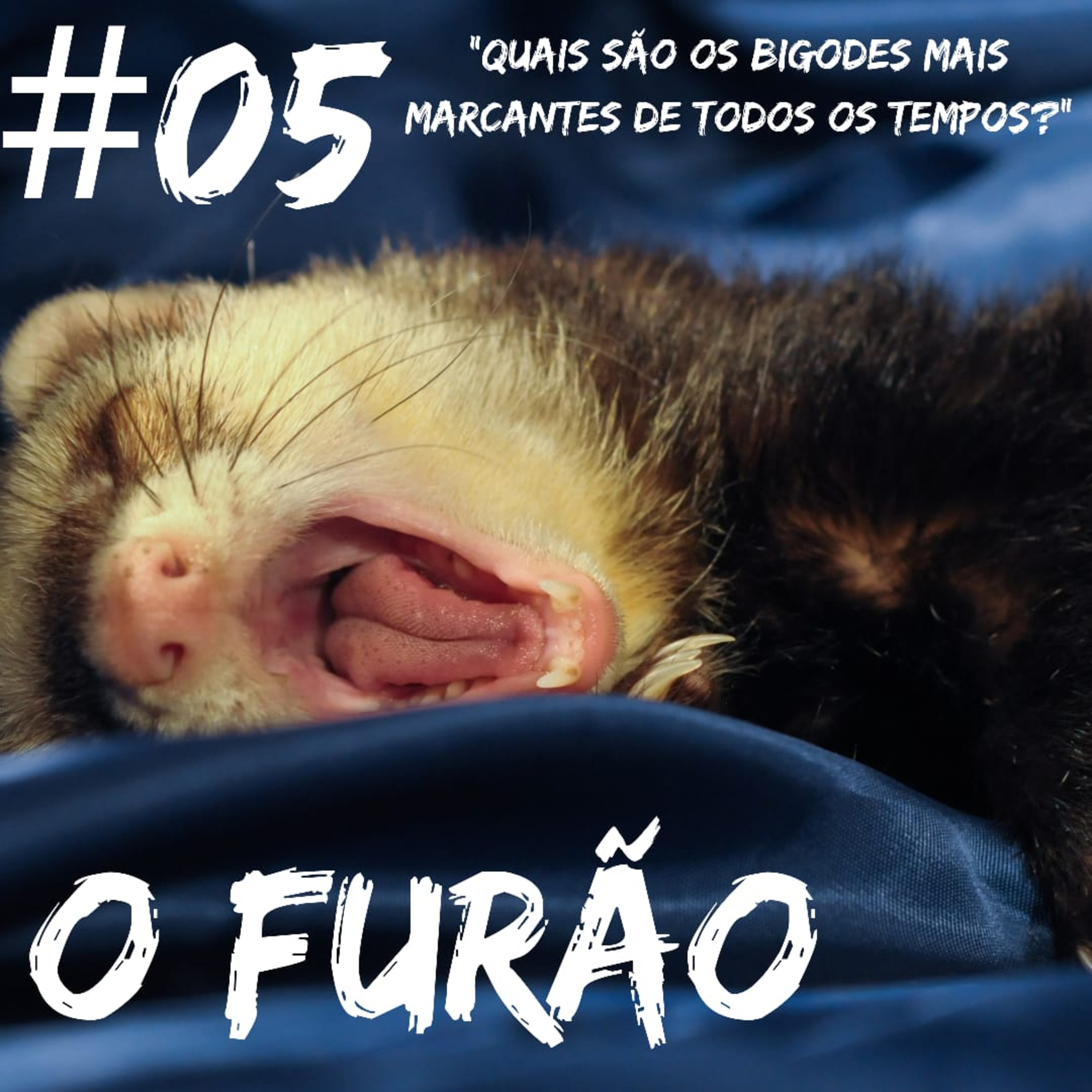 O Furão
