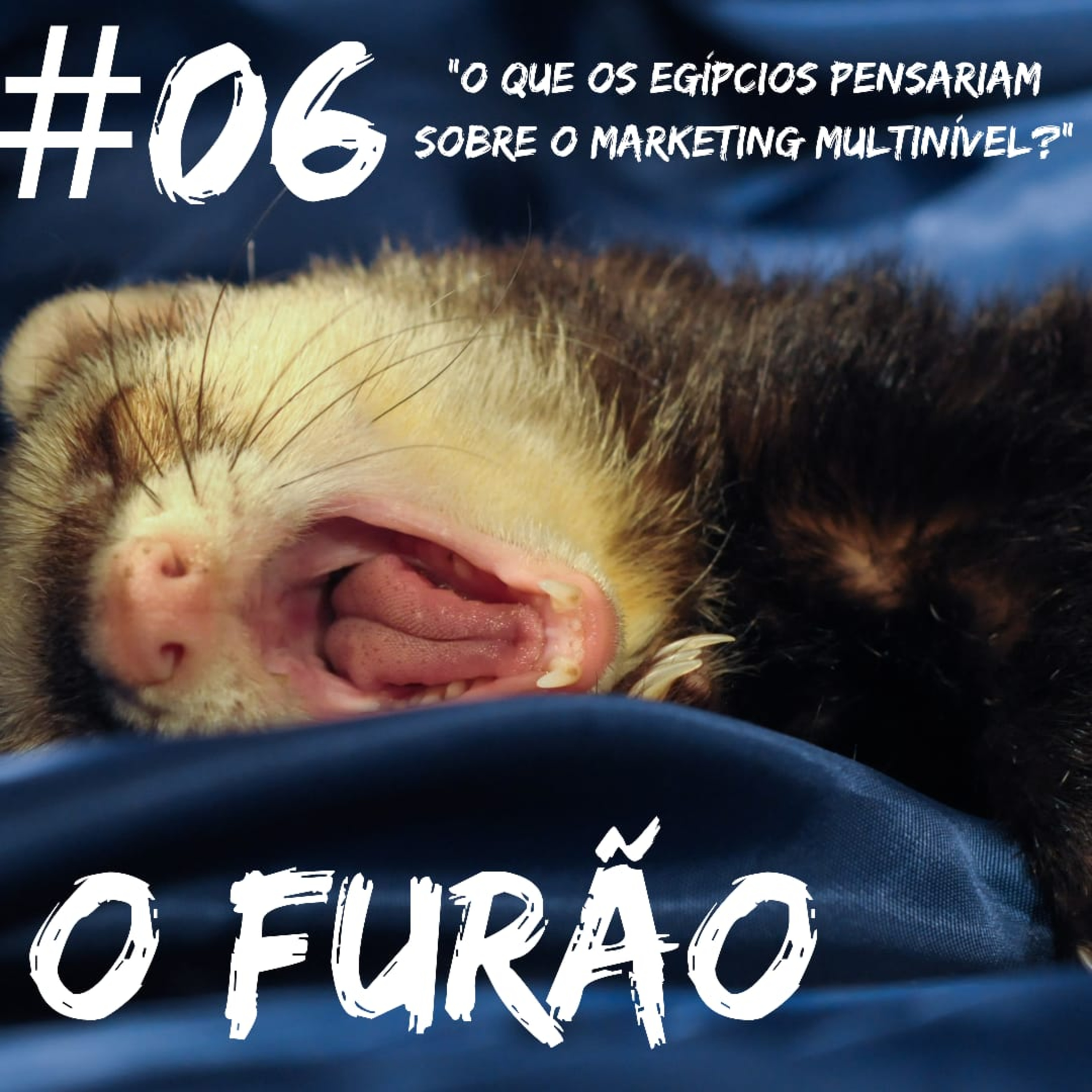 O Furão