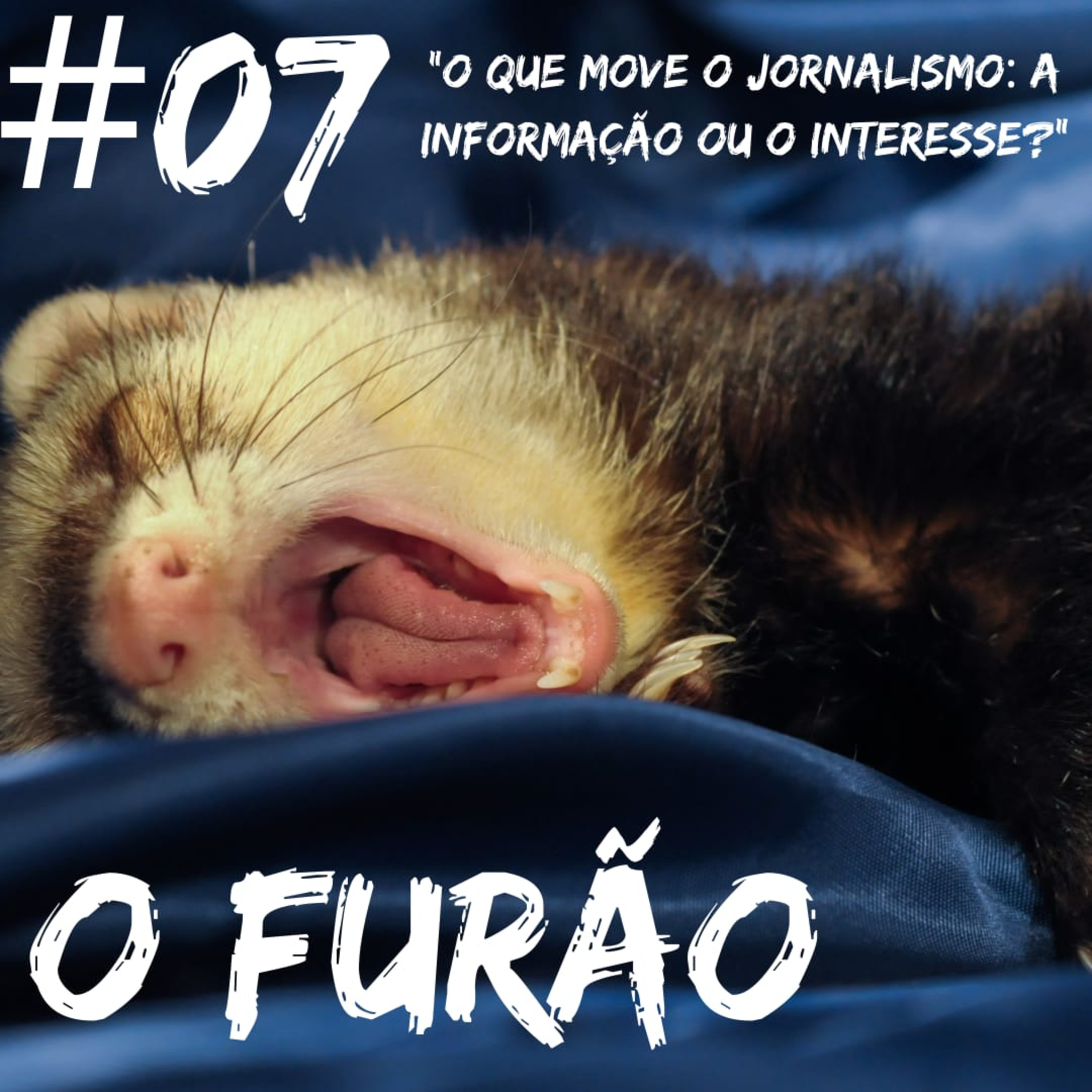 O Furão