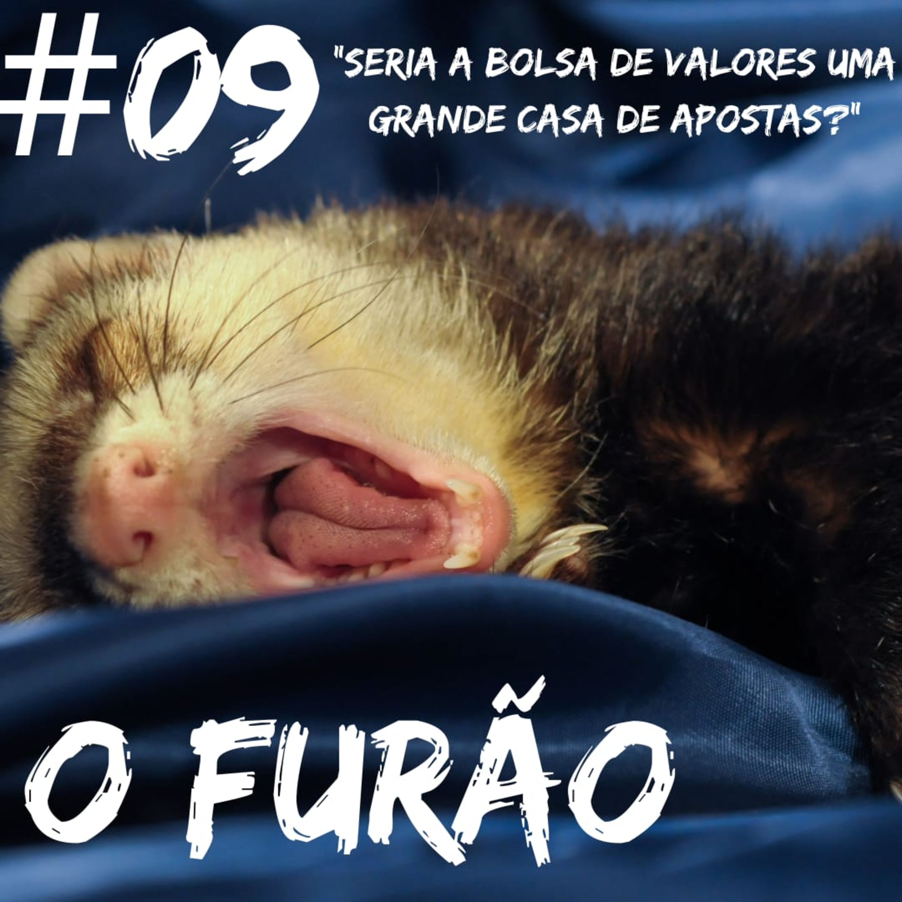 O Furão