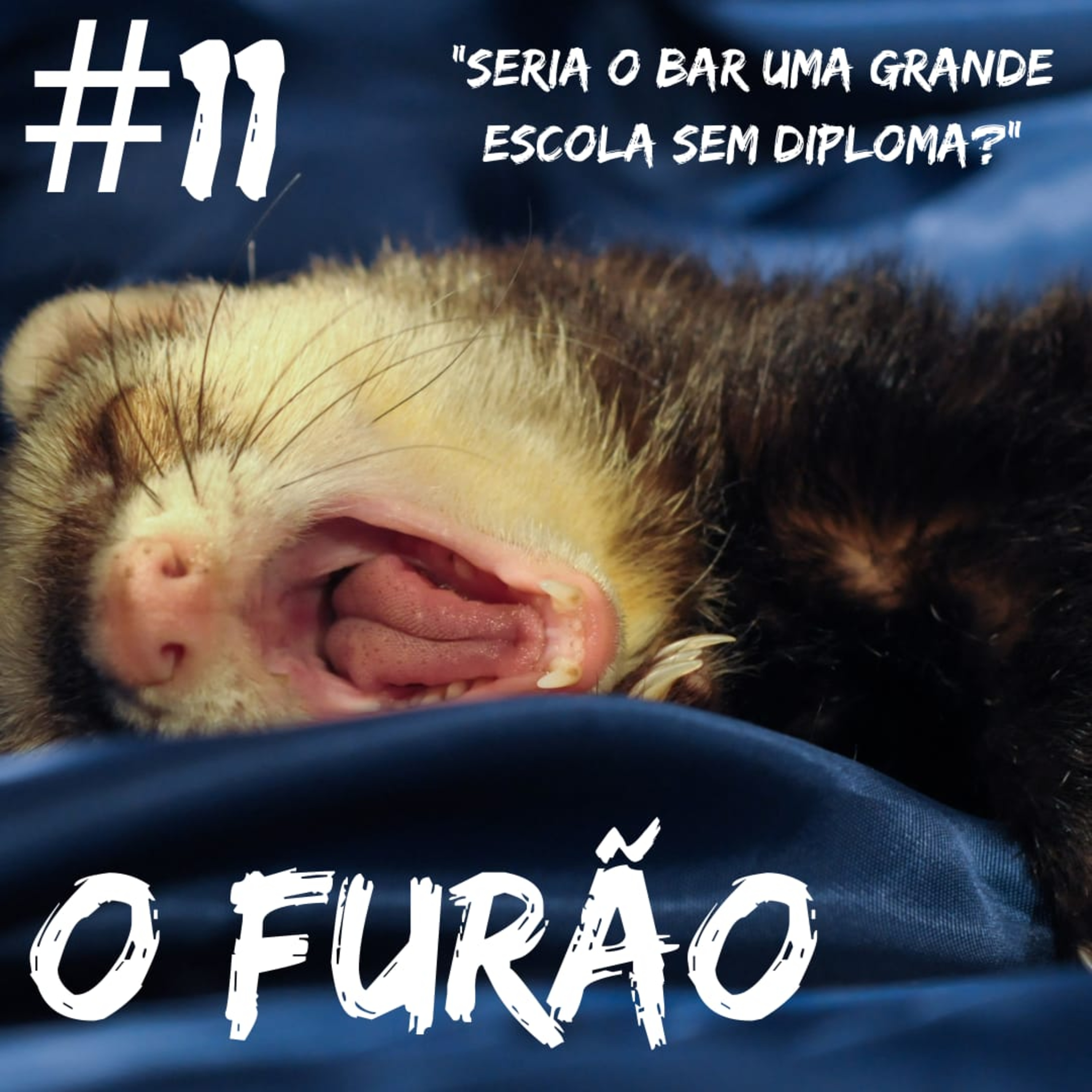 O Furão