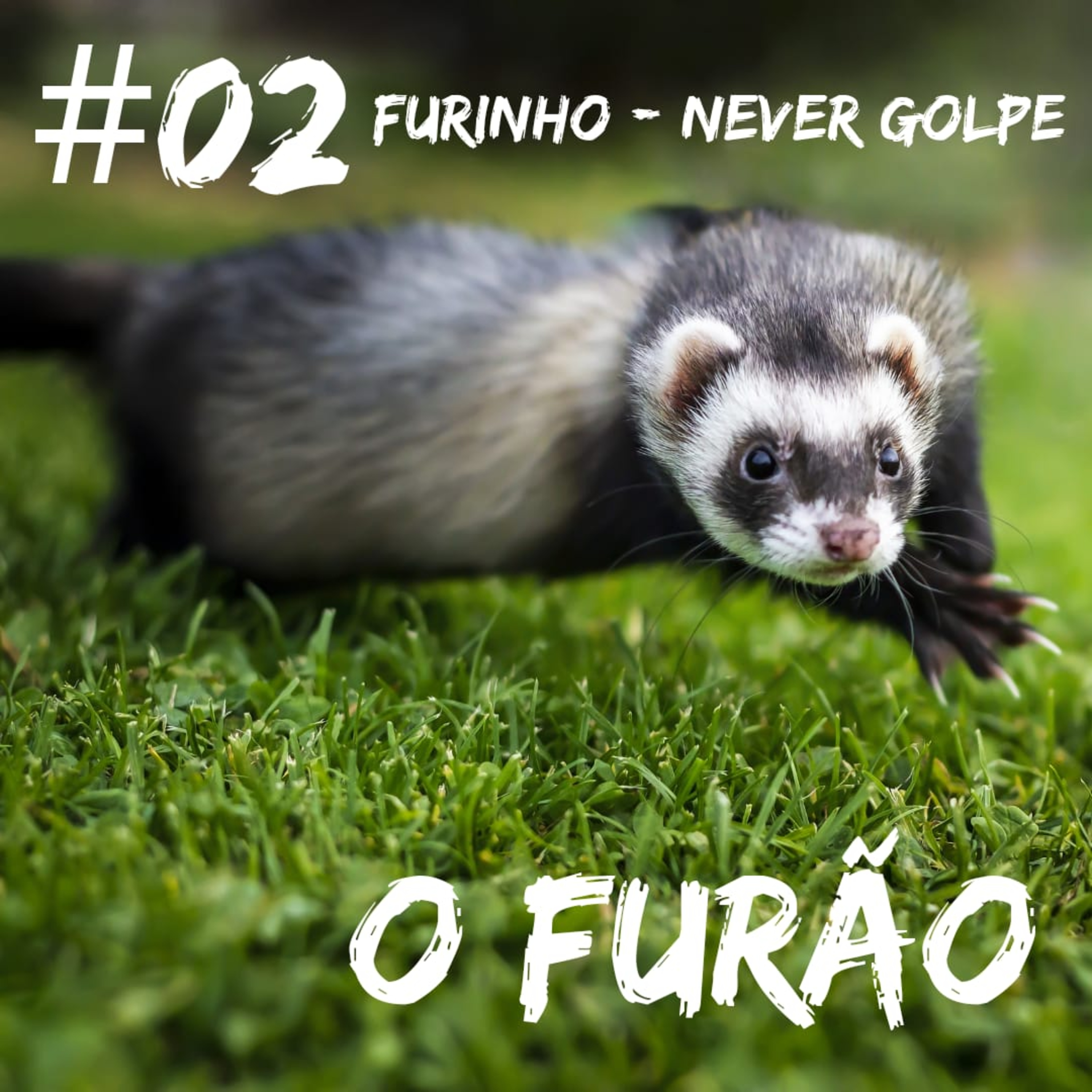 O Furão
