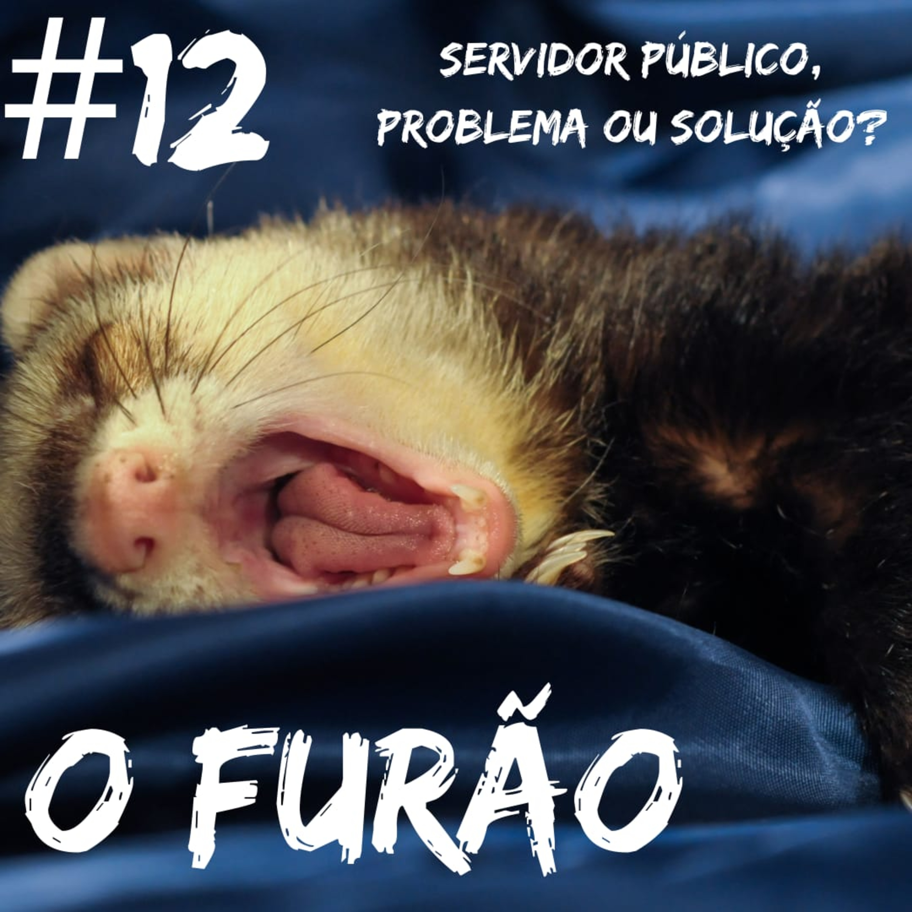 O Furão
