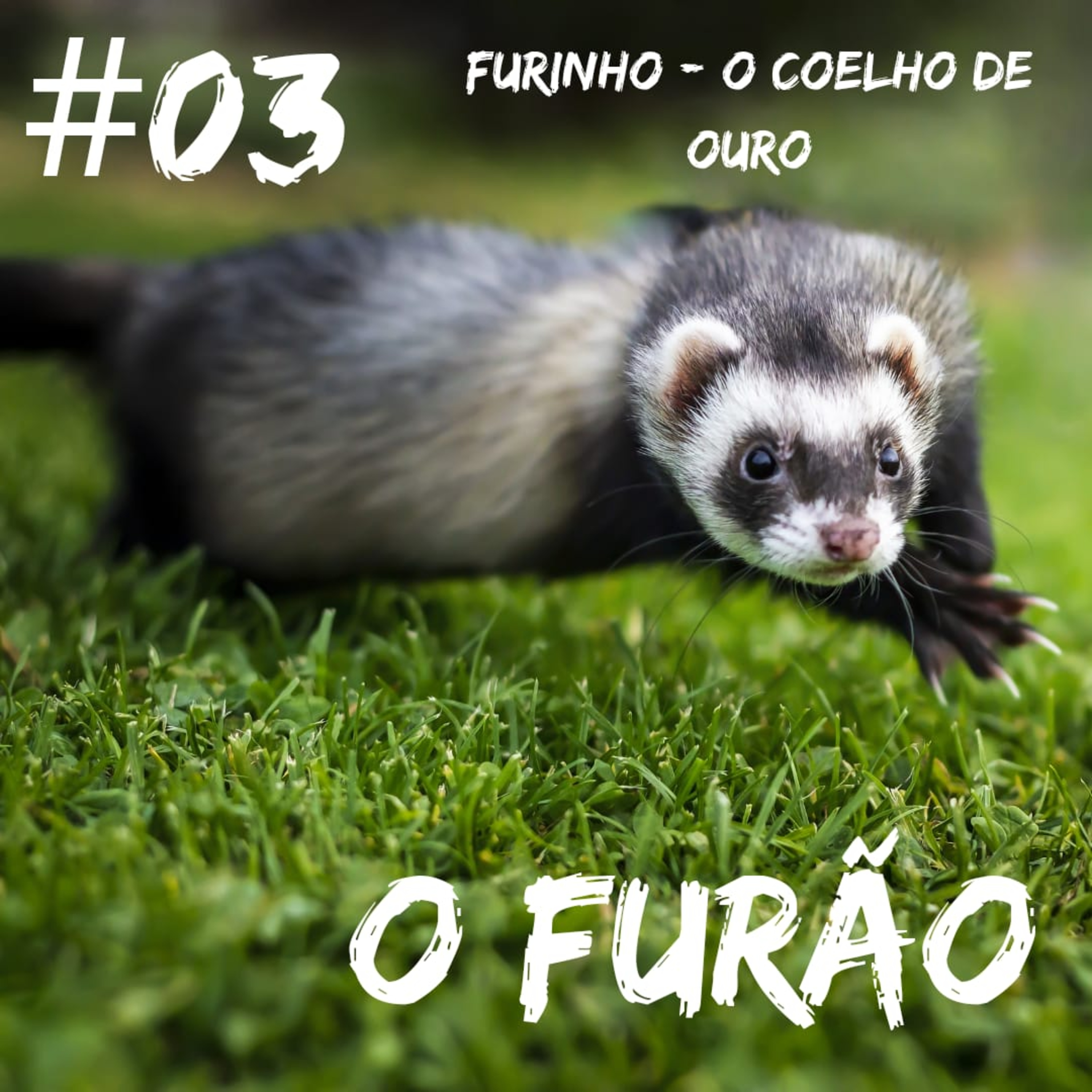 O Furão