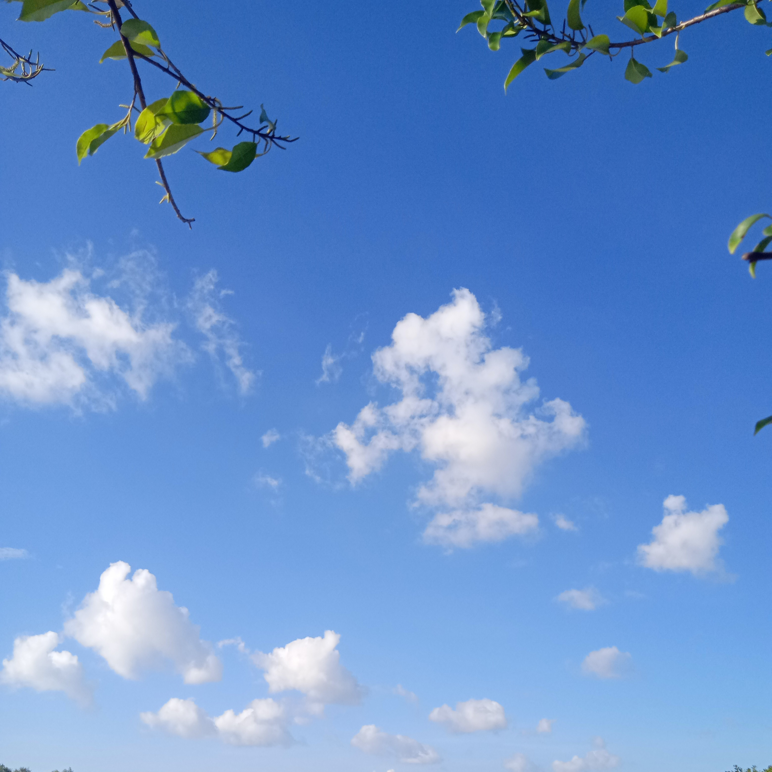 Mana Ku Tahu
