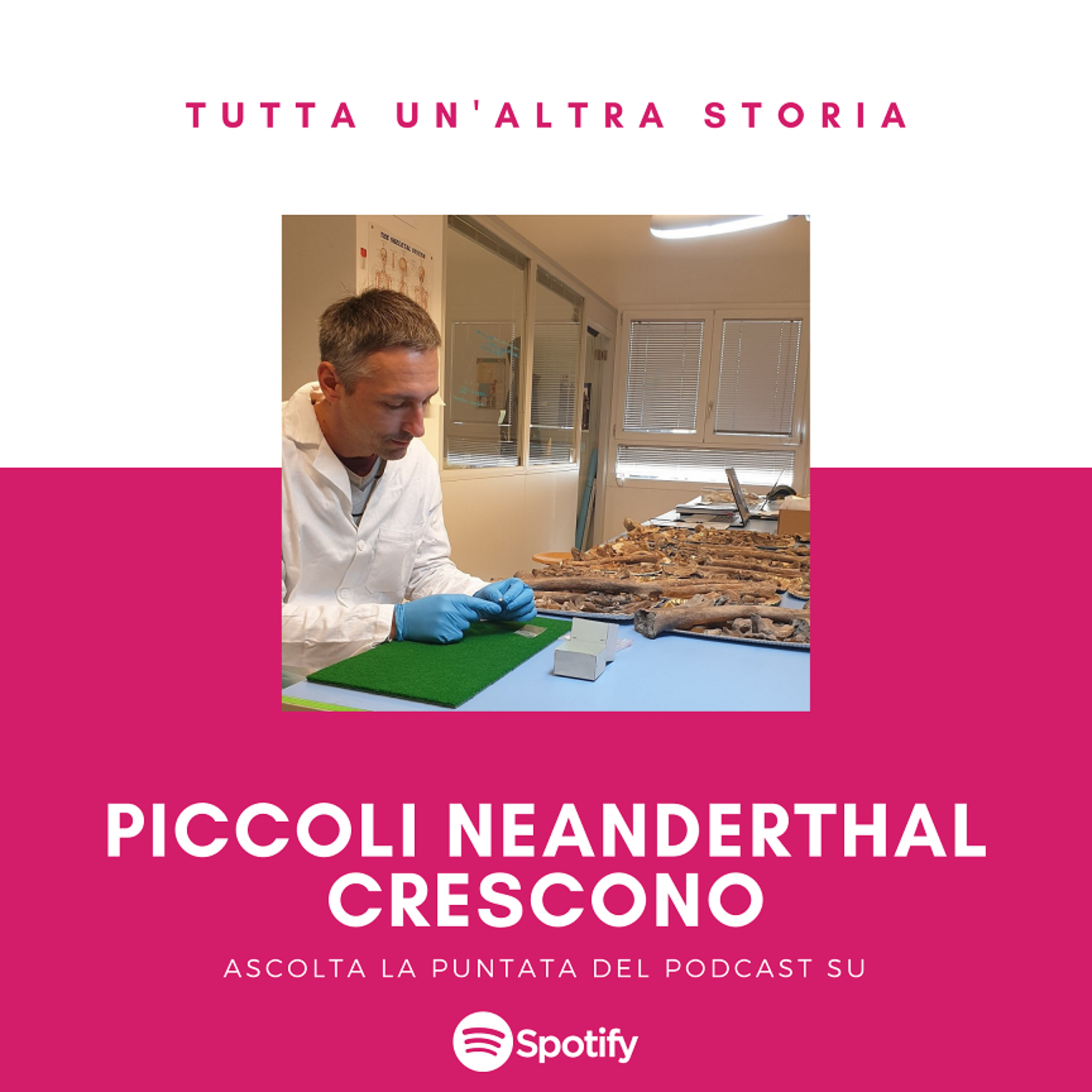 Tutta un\'altra storia