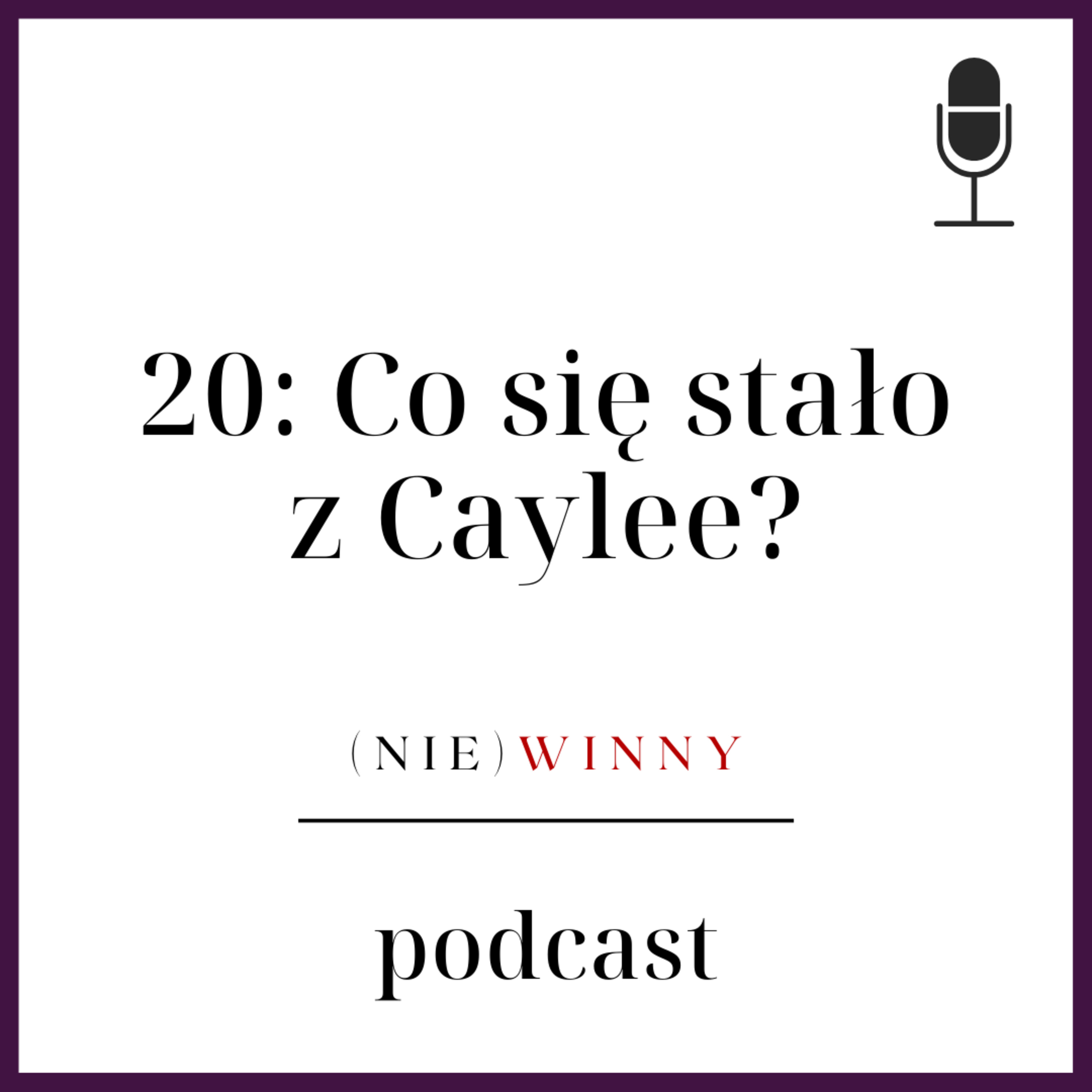 (nie)winny podcast