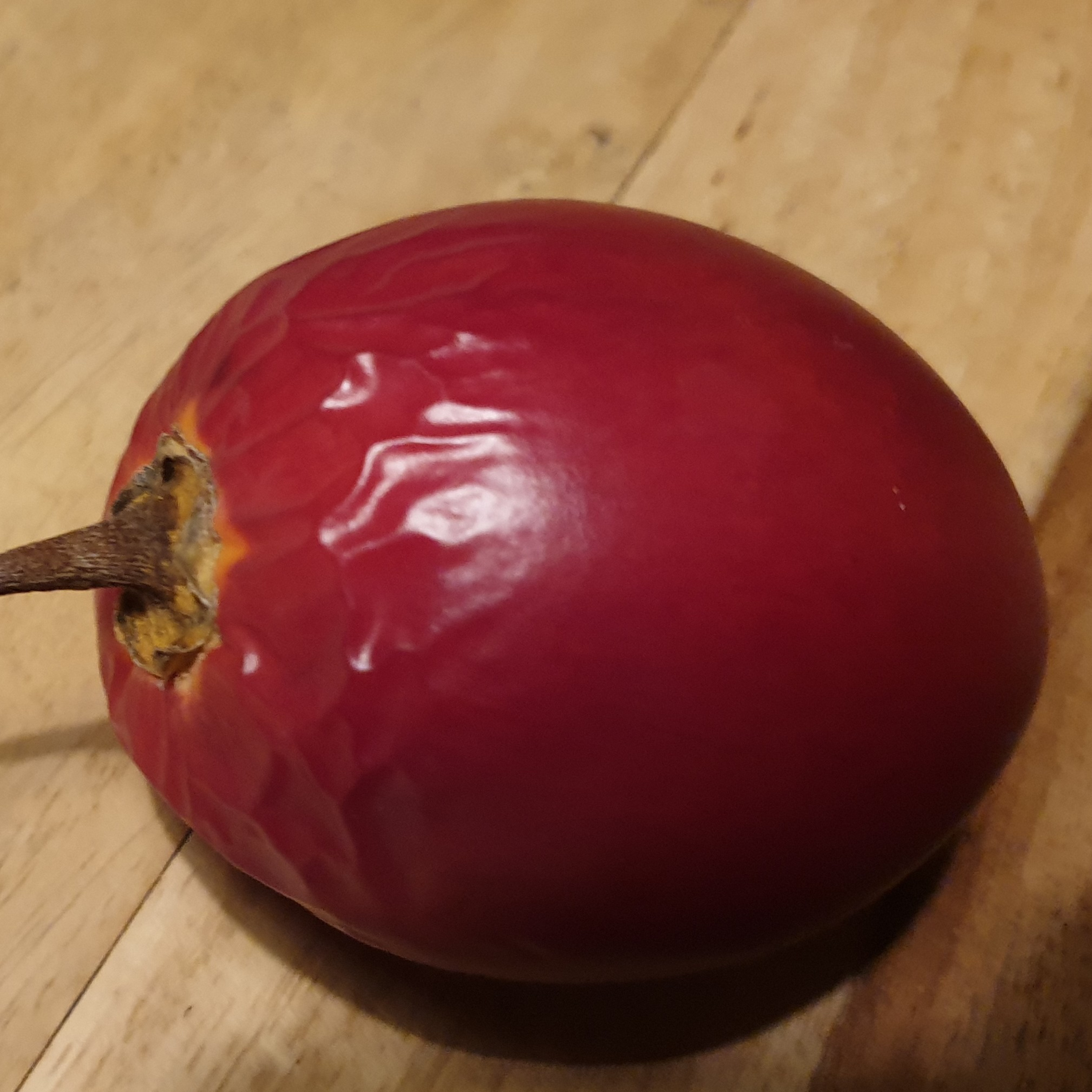 Tamarillo episode artwork