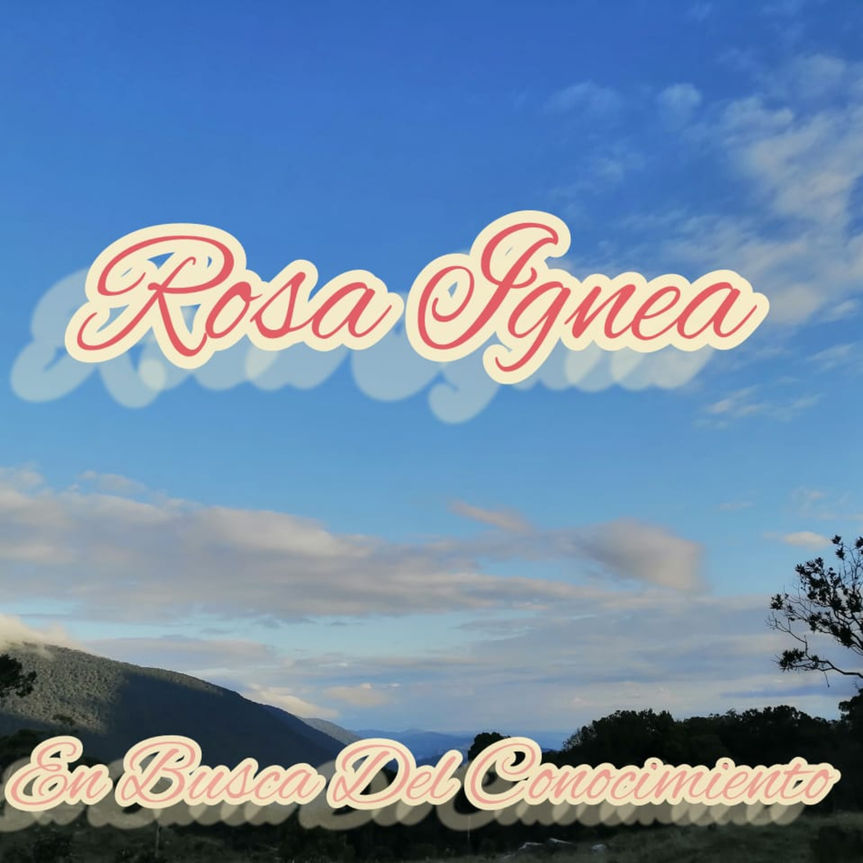 En Busca Del Conocimiento