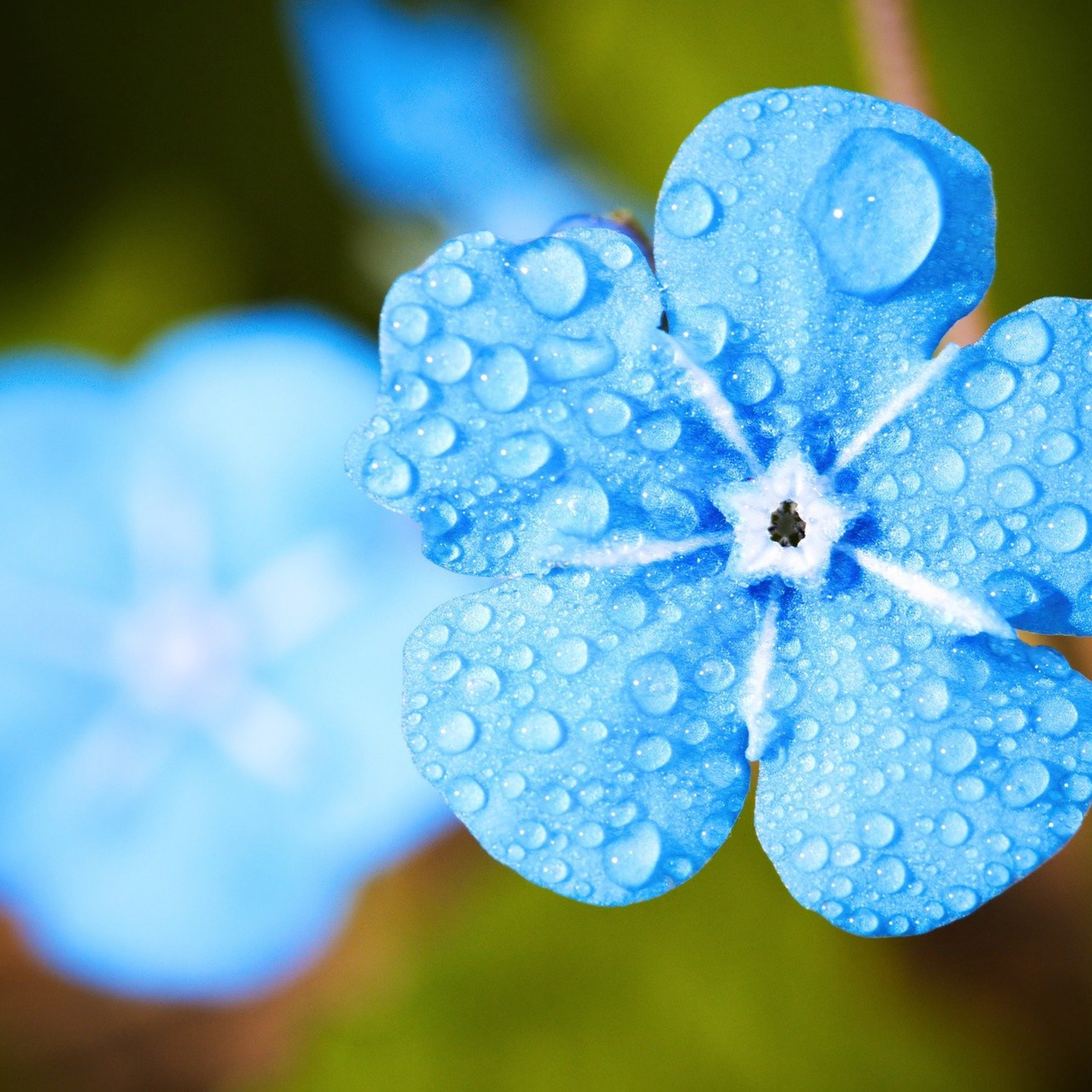 Rain of God\'s Love