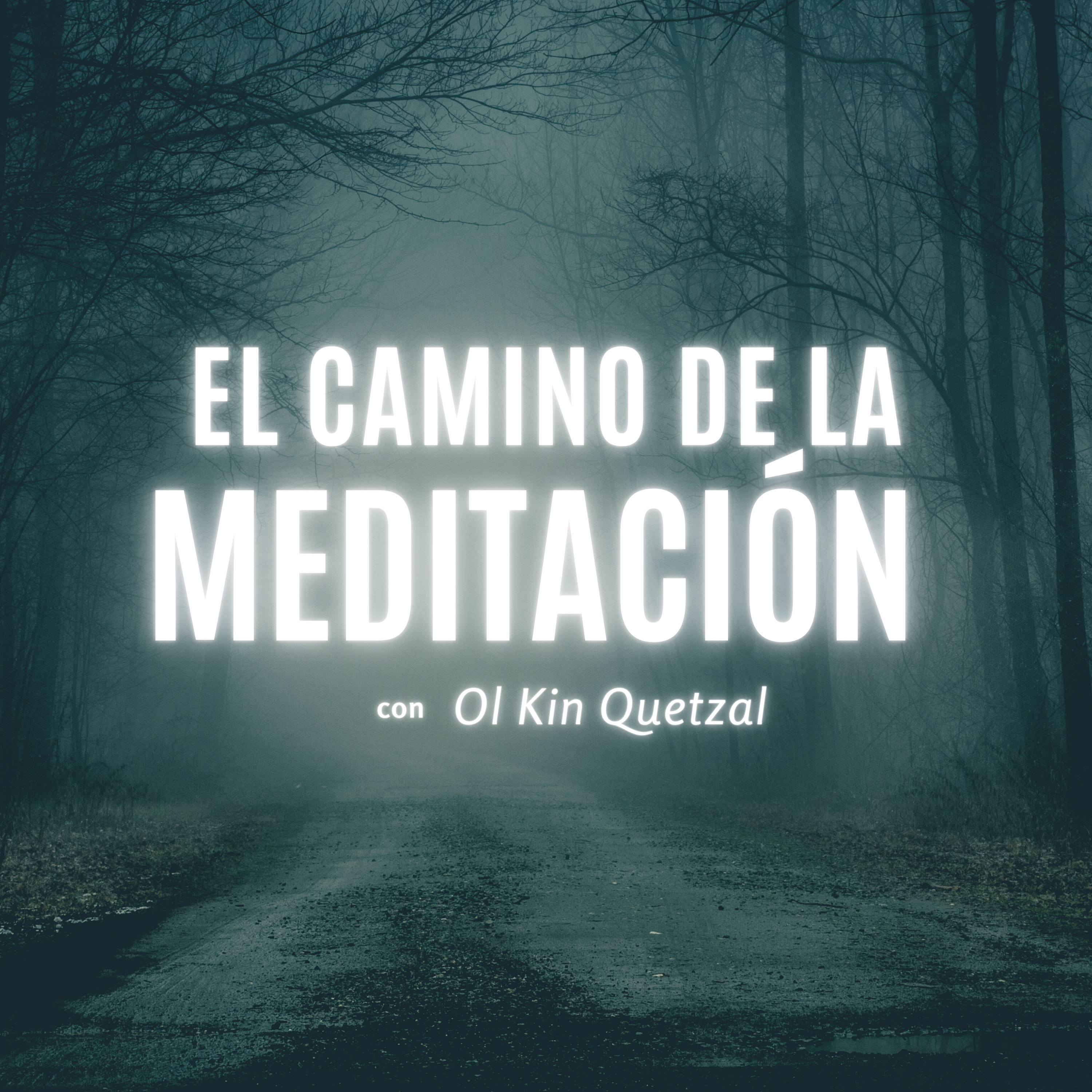 VIIBRA ALTO Respira - Medita - Despierta