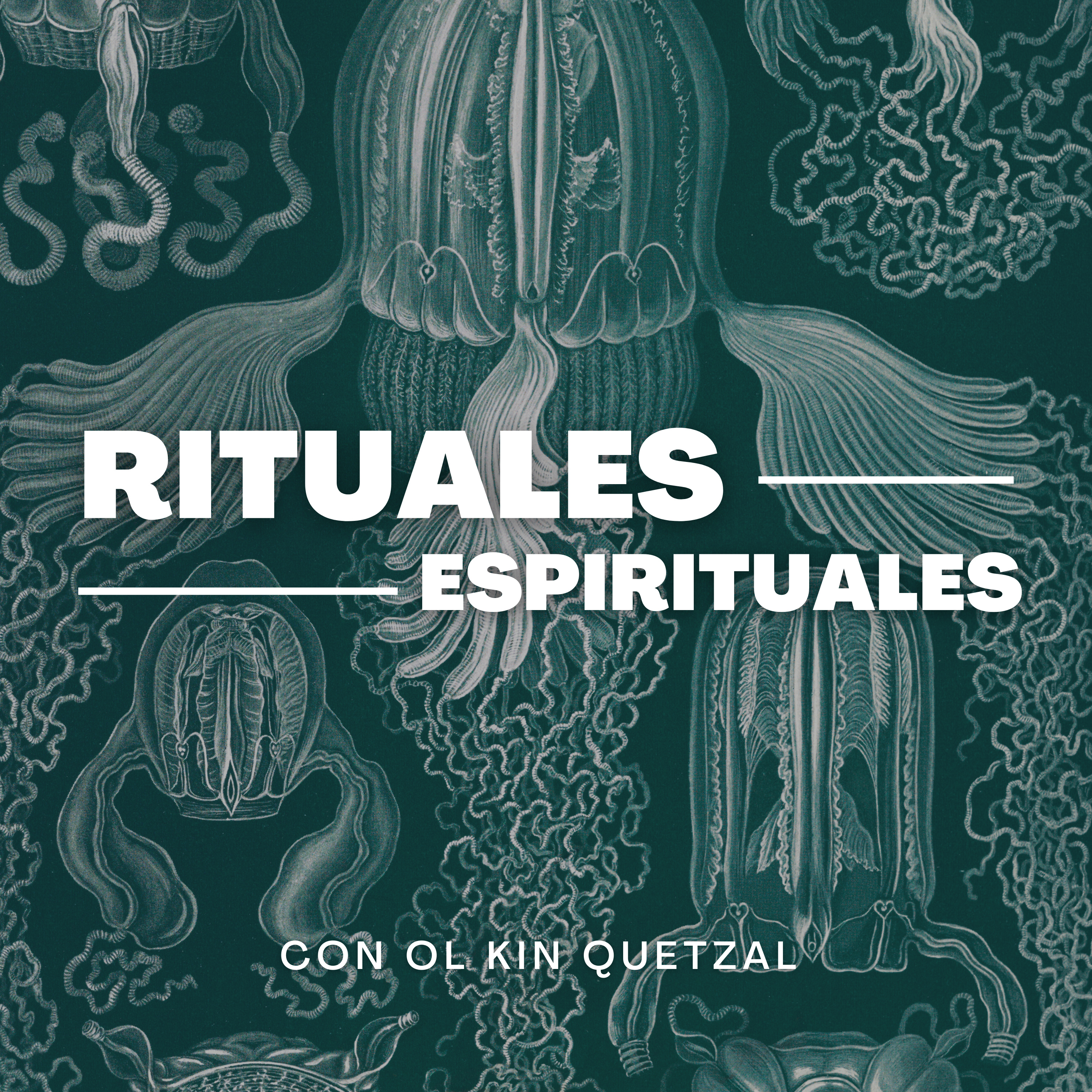 VIIBRA ALTO Respira - Medita - Despierta
