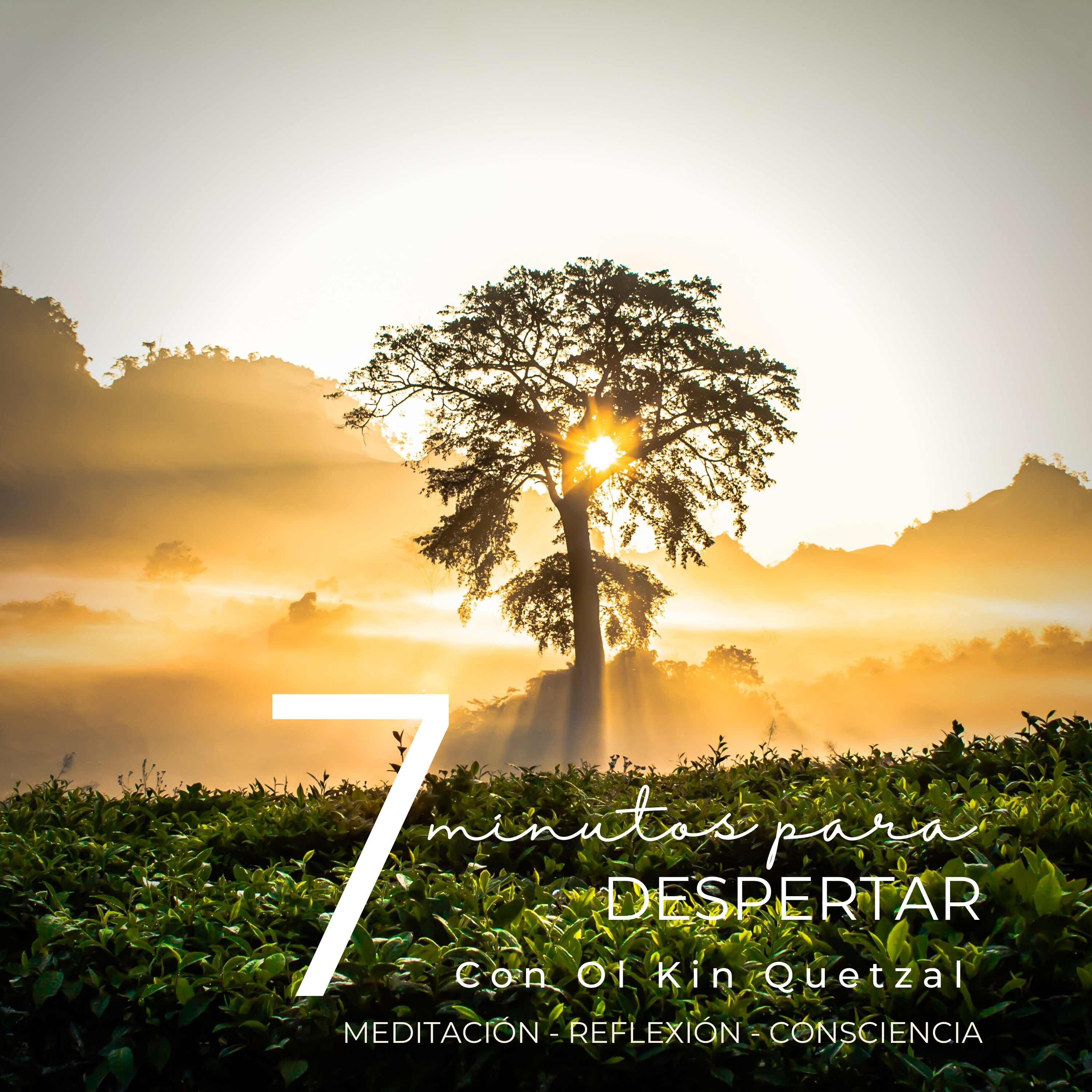 VIIBRA ALTO Respira - Medita - Despierta