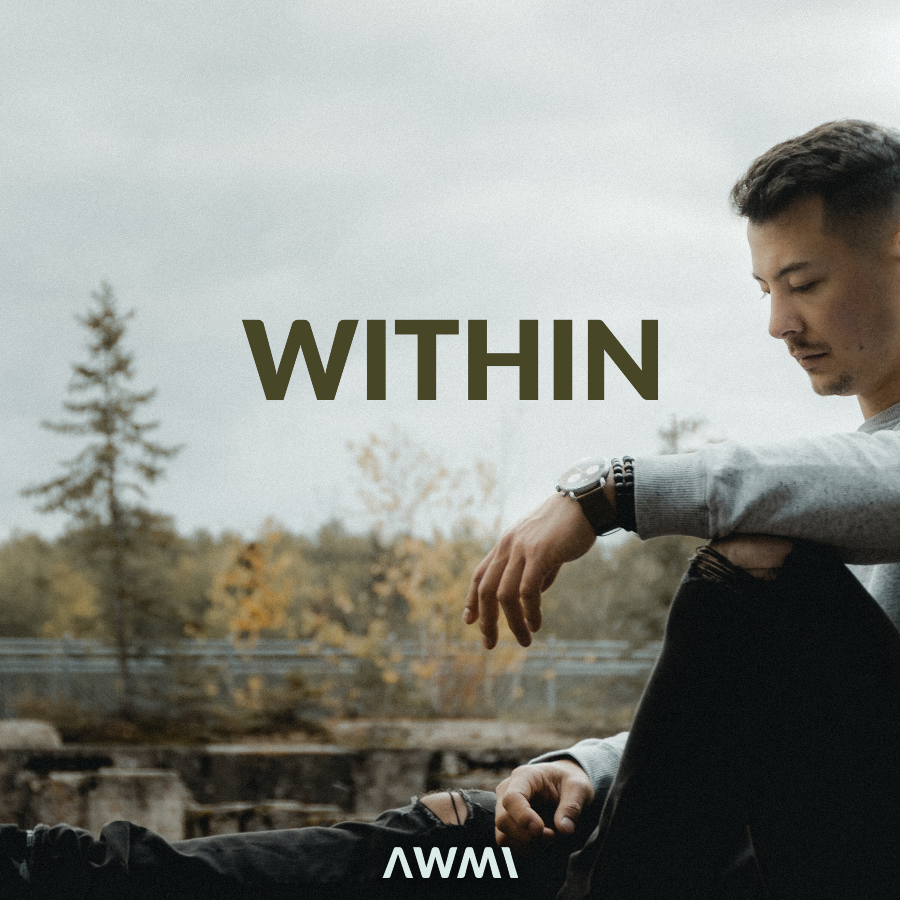 Within by AWMI