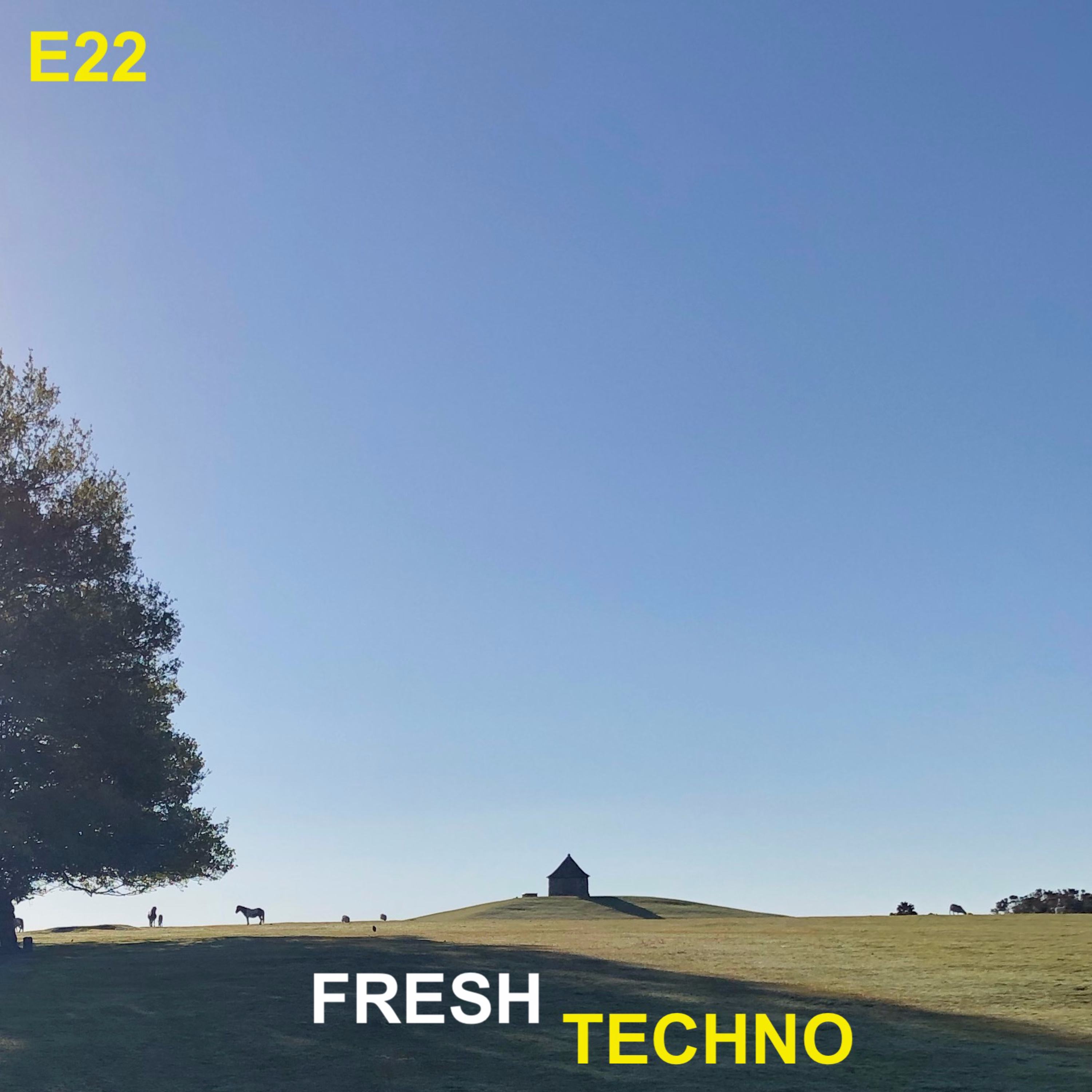 E22 Fireworks [WK19 4-10MAY 2019]