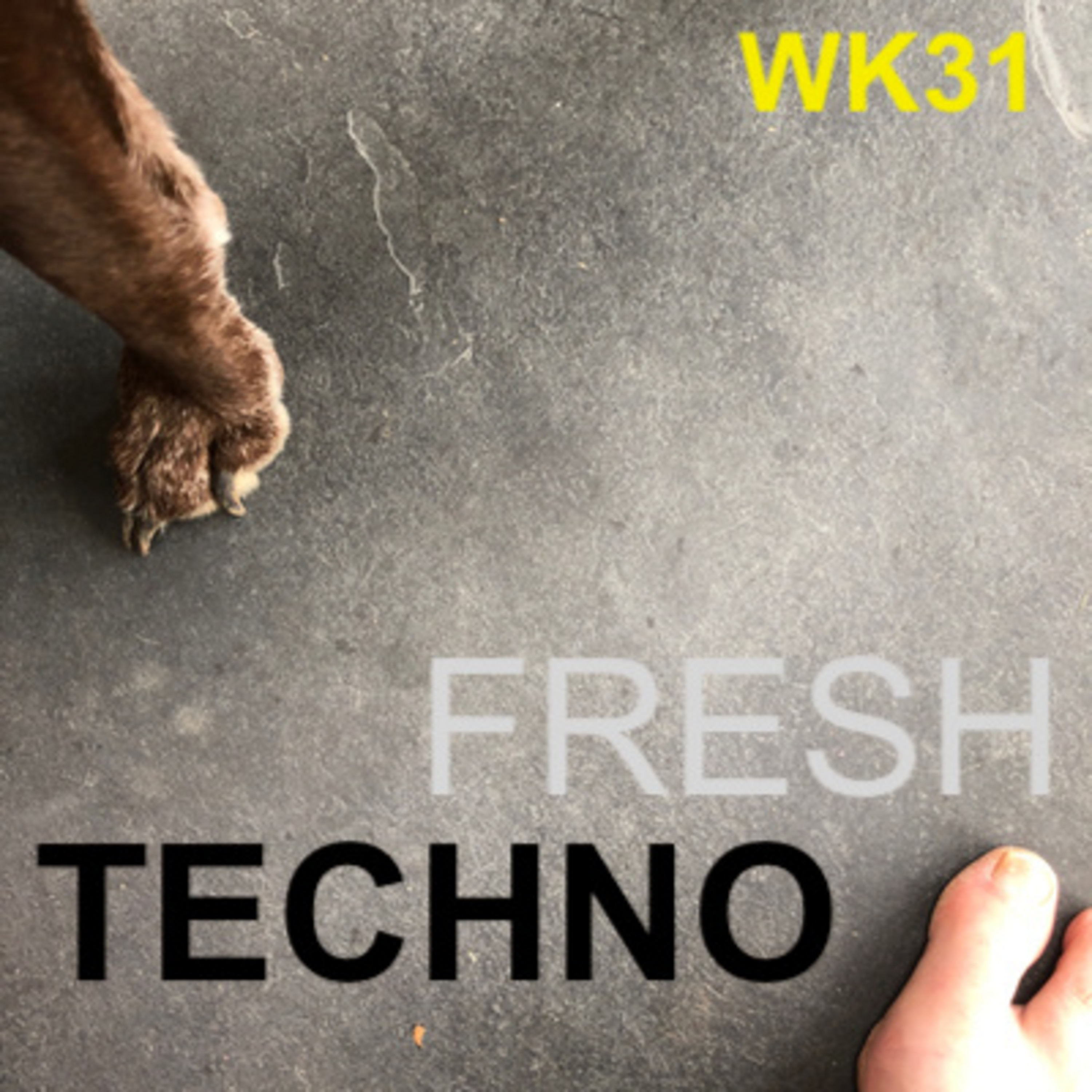 E31 Best Techno Releases 27 July to 2 Aug 2019