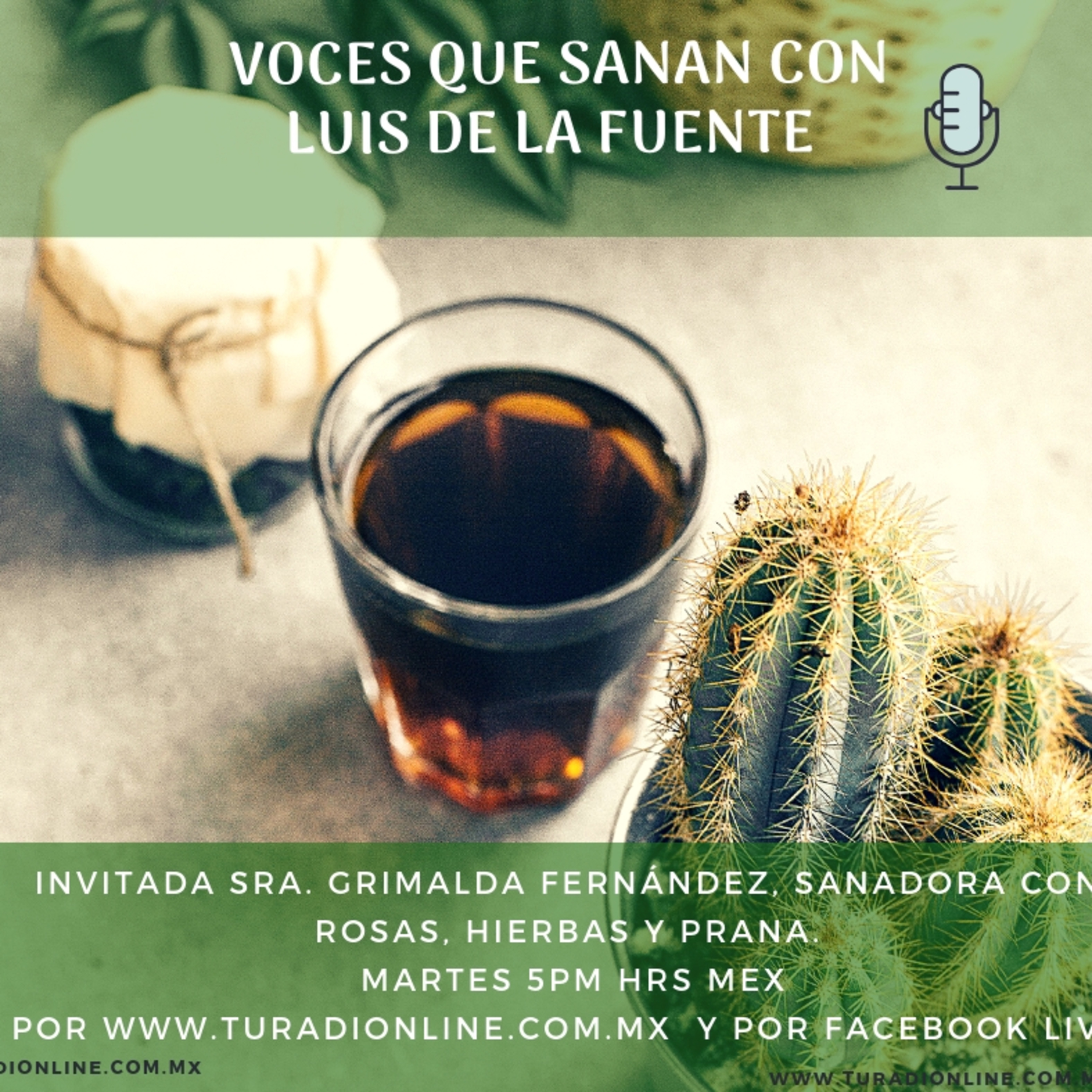 TuRadiOnlineMX