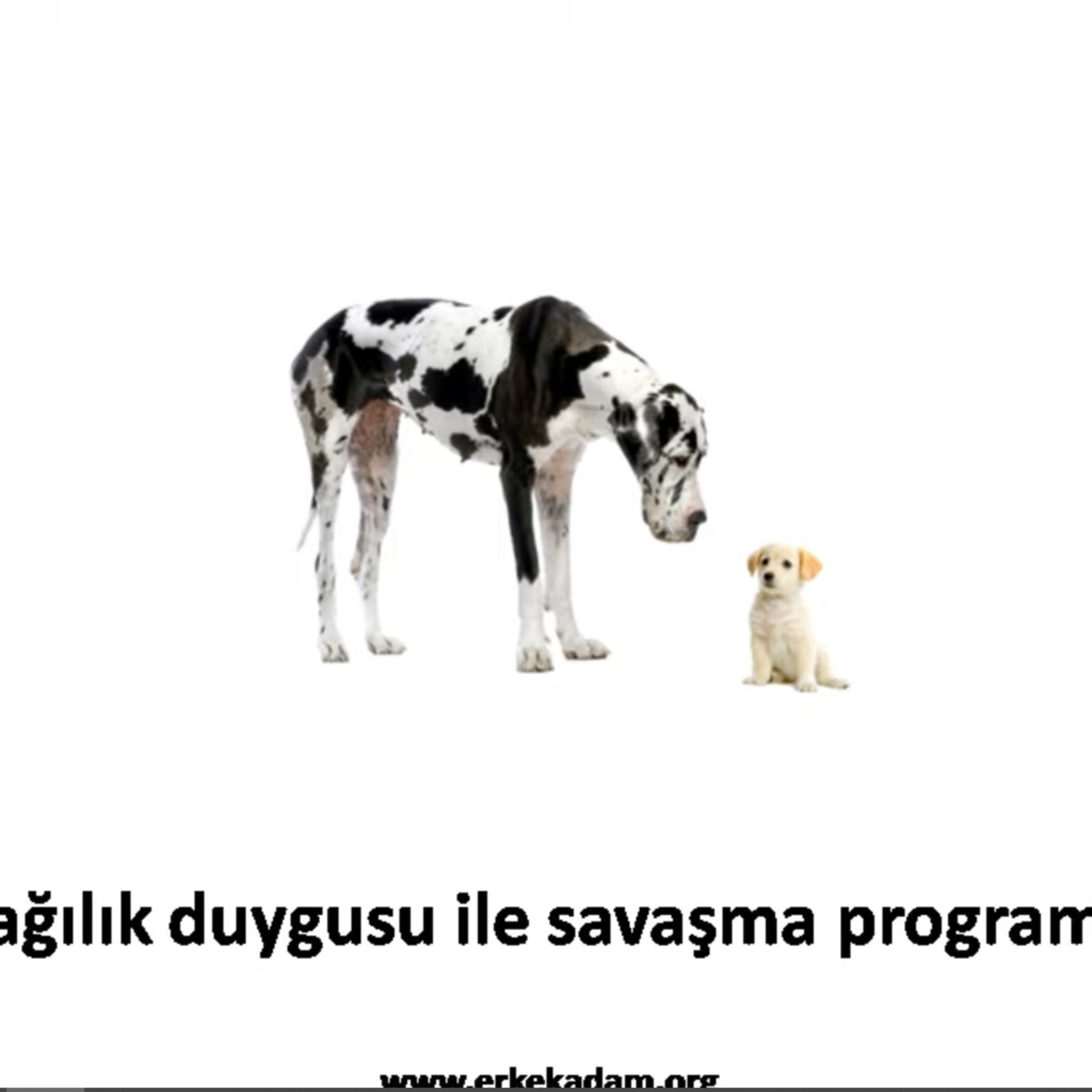 Aşağılık duygusu ile savaşma programım Aşağılık duygusu ile savaşma programım