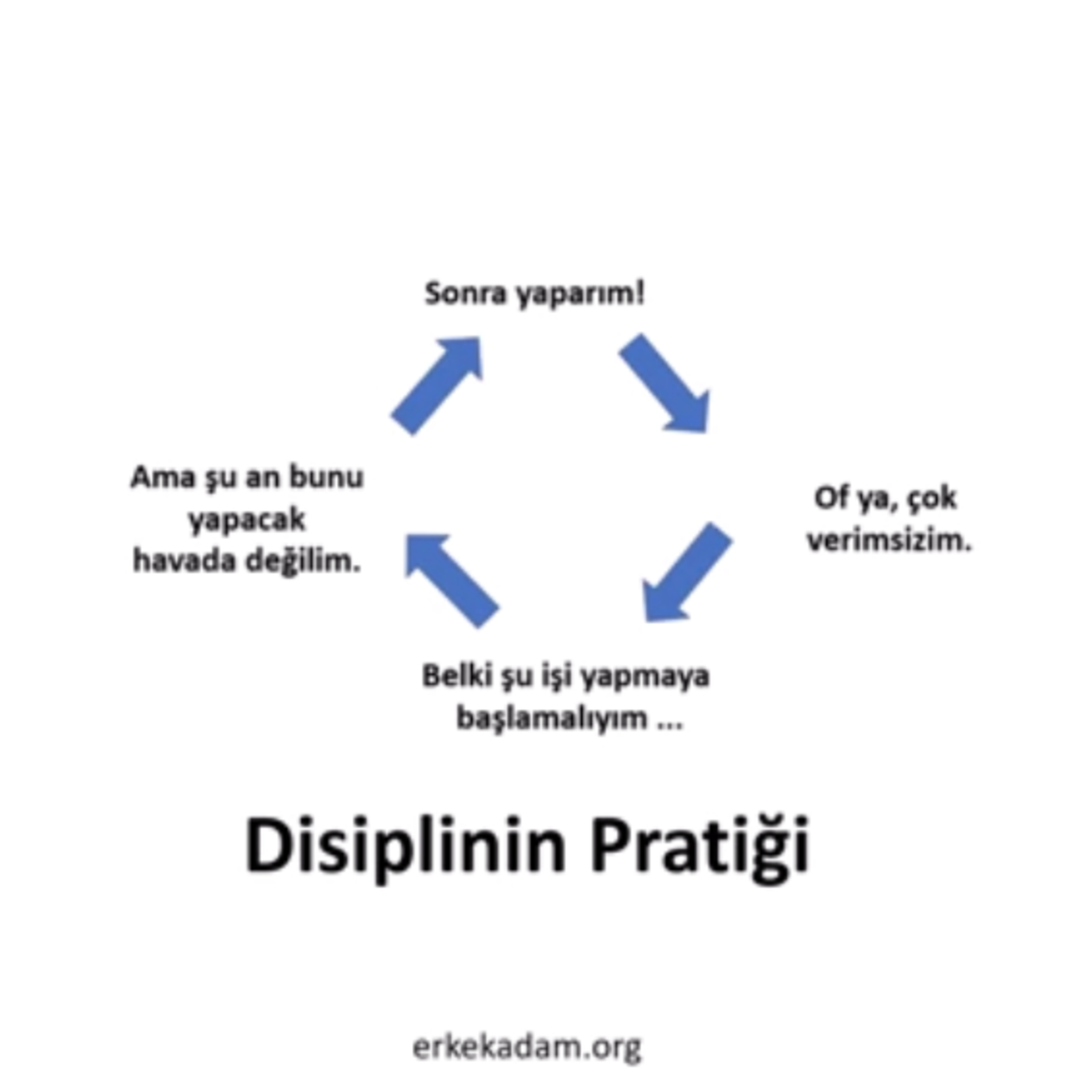 Disiplin Pratiği episode artwork