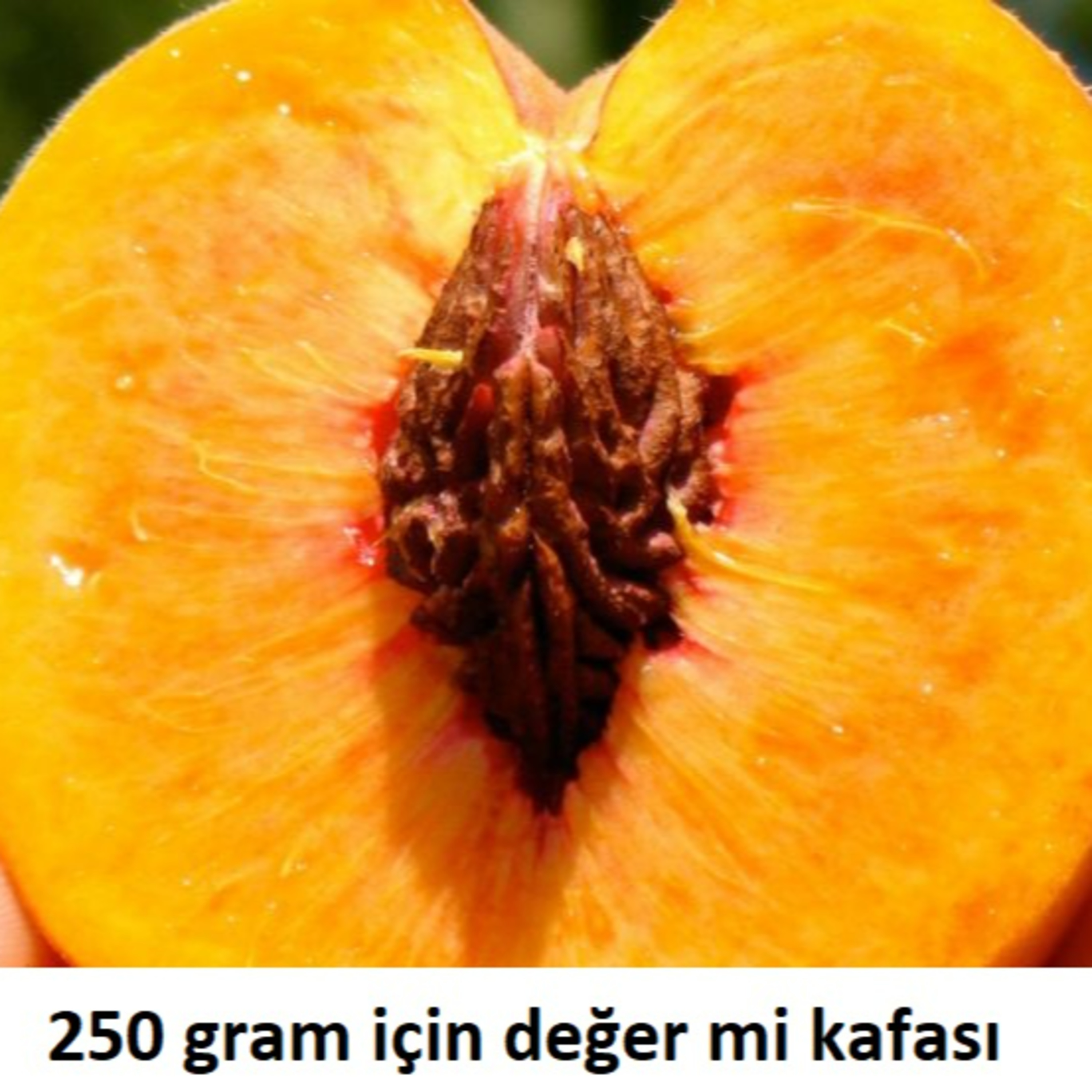 250 gram için değer mi kafası episode artwork
