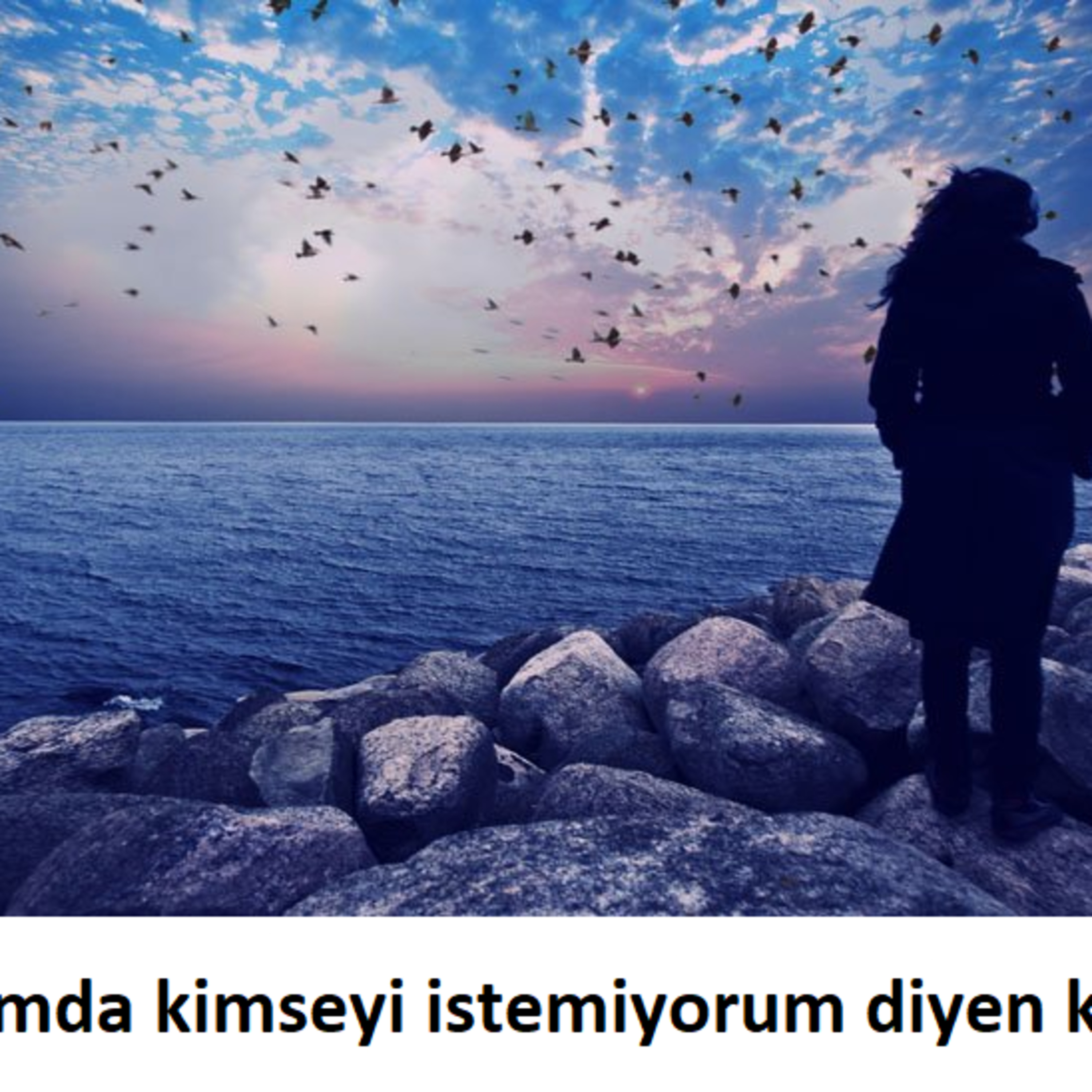Hayatımda kimseyi istemiyorum diyen kadın episode artwork
