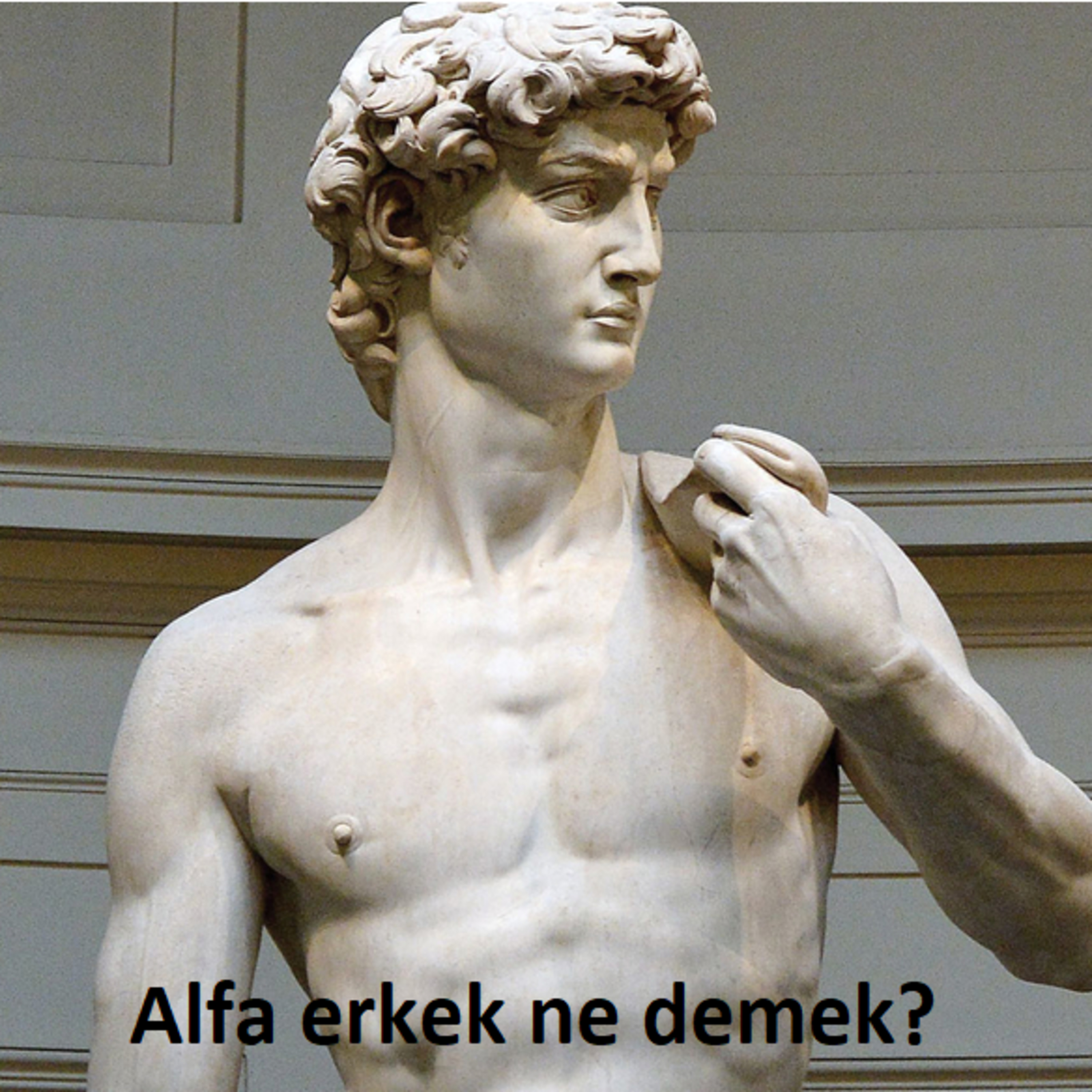Alfa erkek ne demek? episode artwork