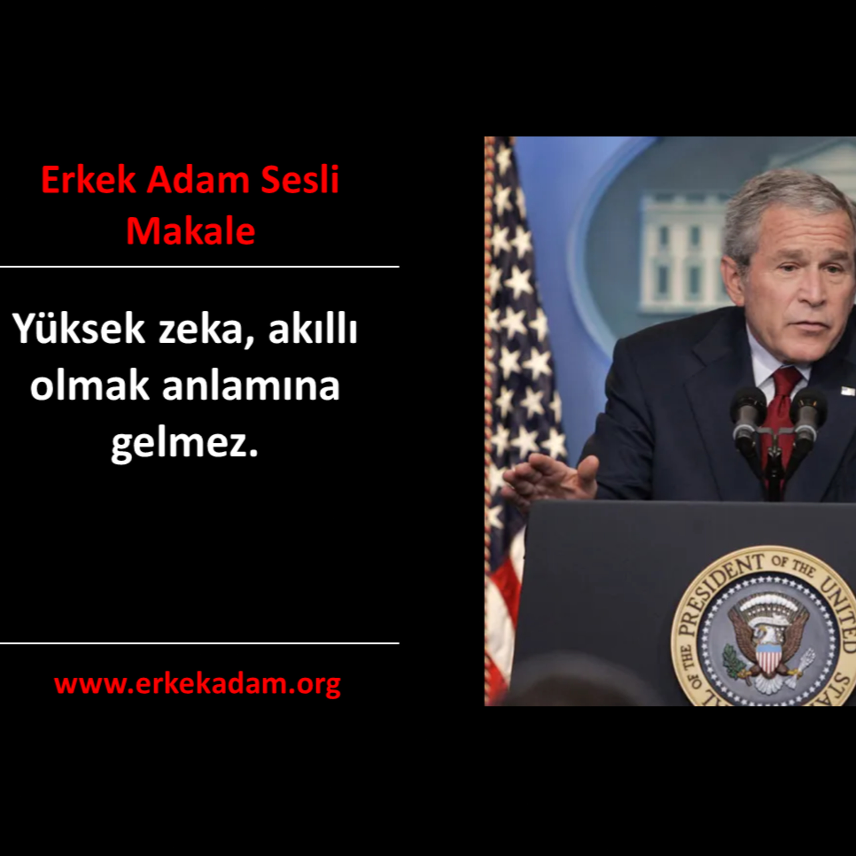 Yüksek zeka, akıllı olmak anlamına gelmez. episode artwork