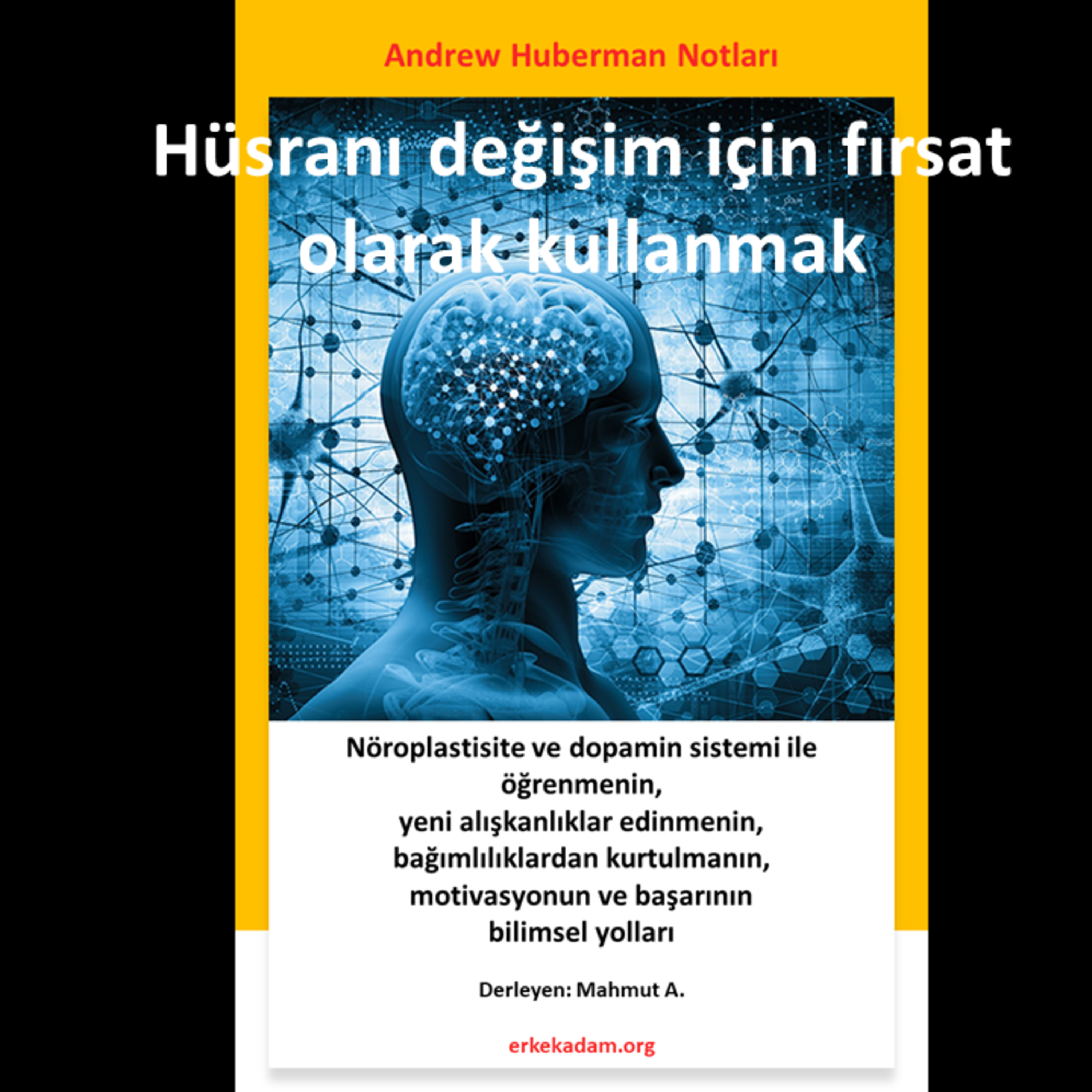 Hüsranı değişim için fırsat olarak kullanmak episode artwork
