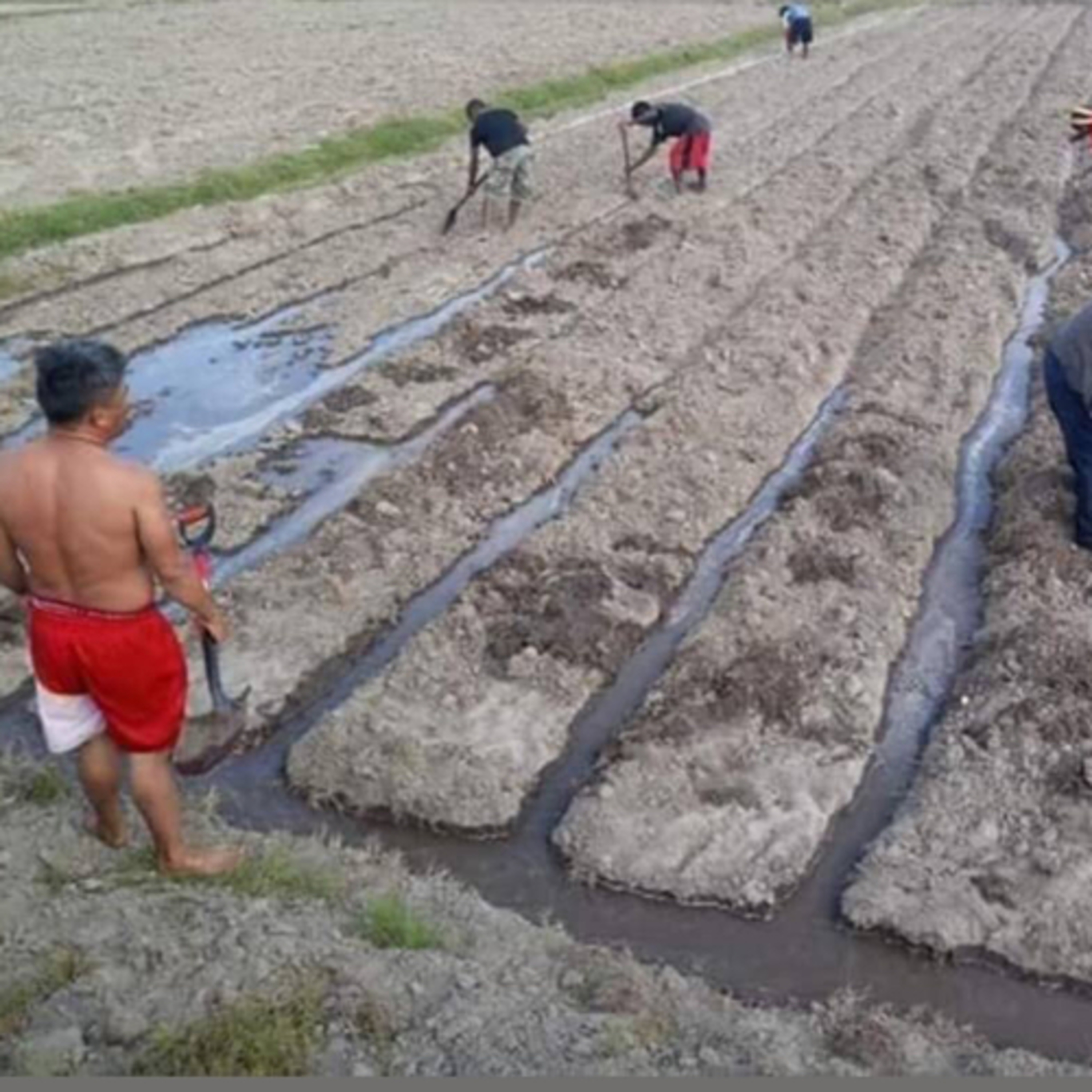 Farmers on Table Talk