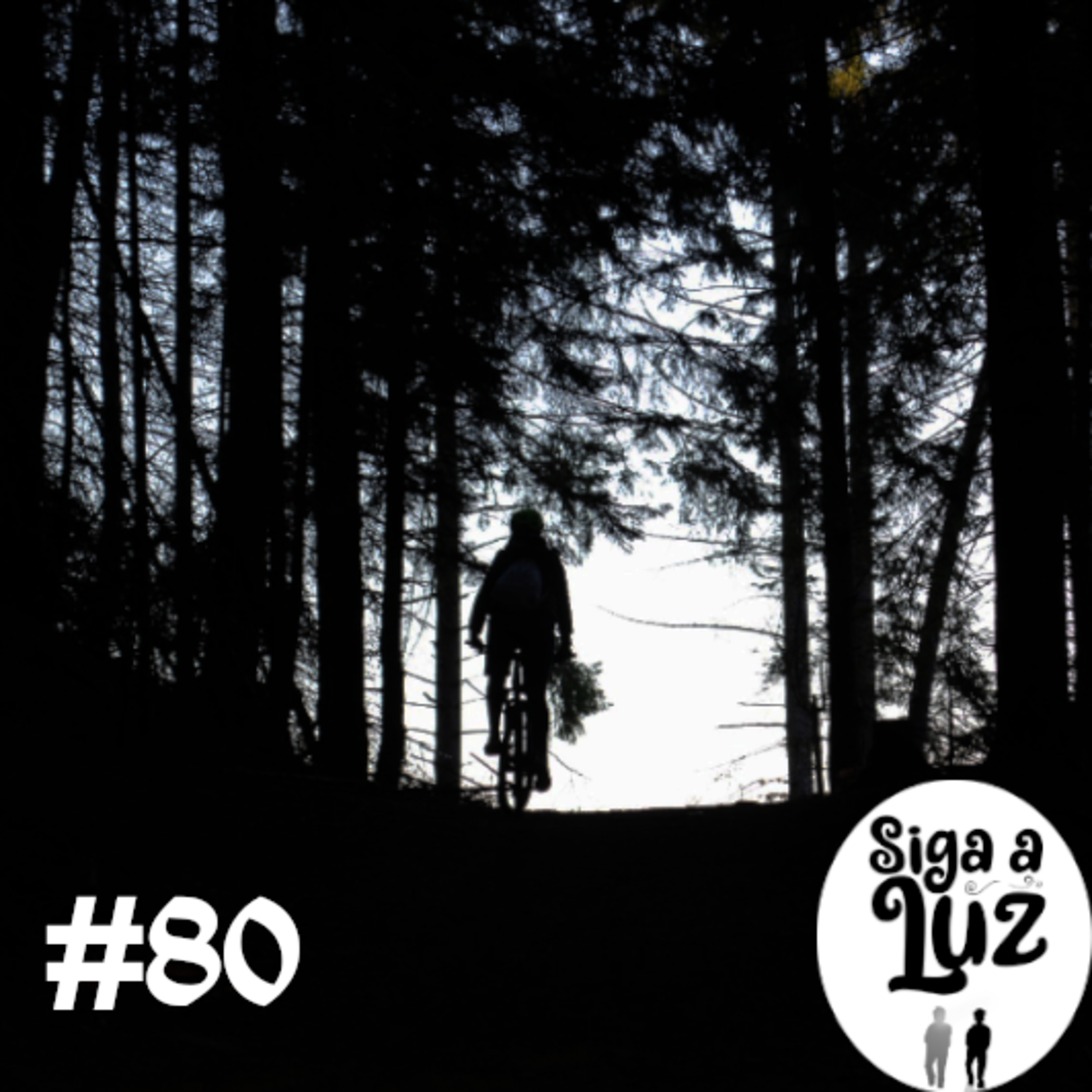 Siga a Luz