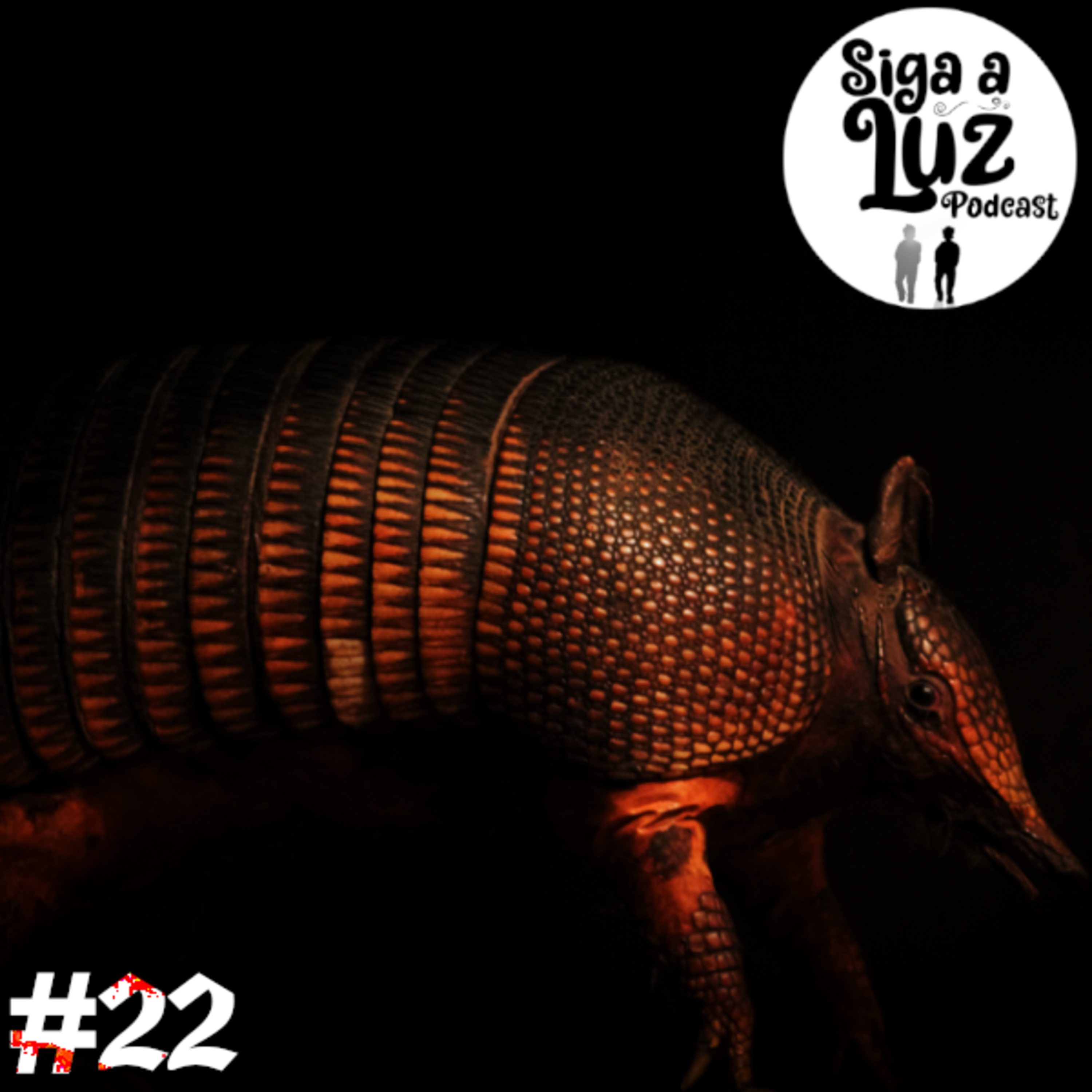 Siga a Luz