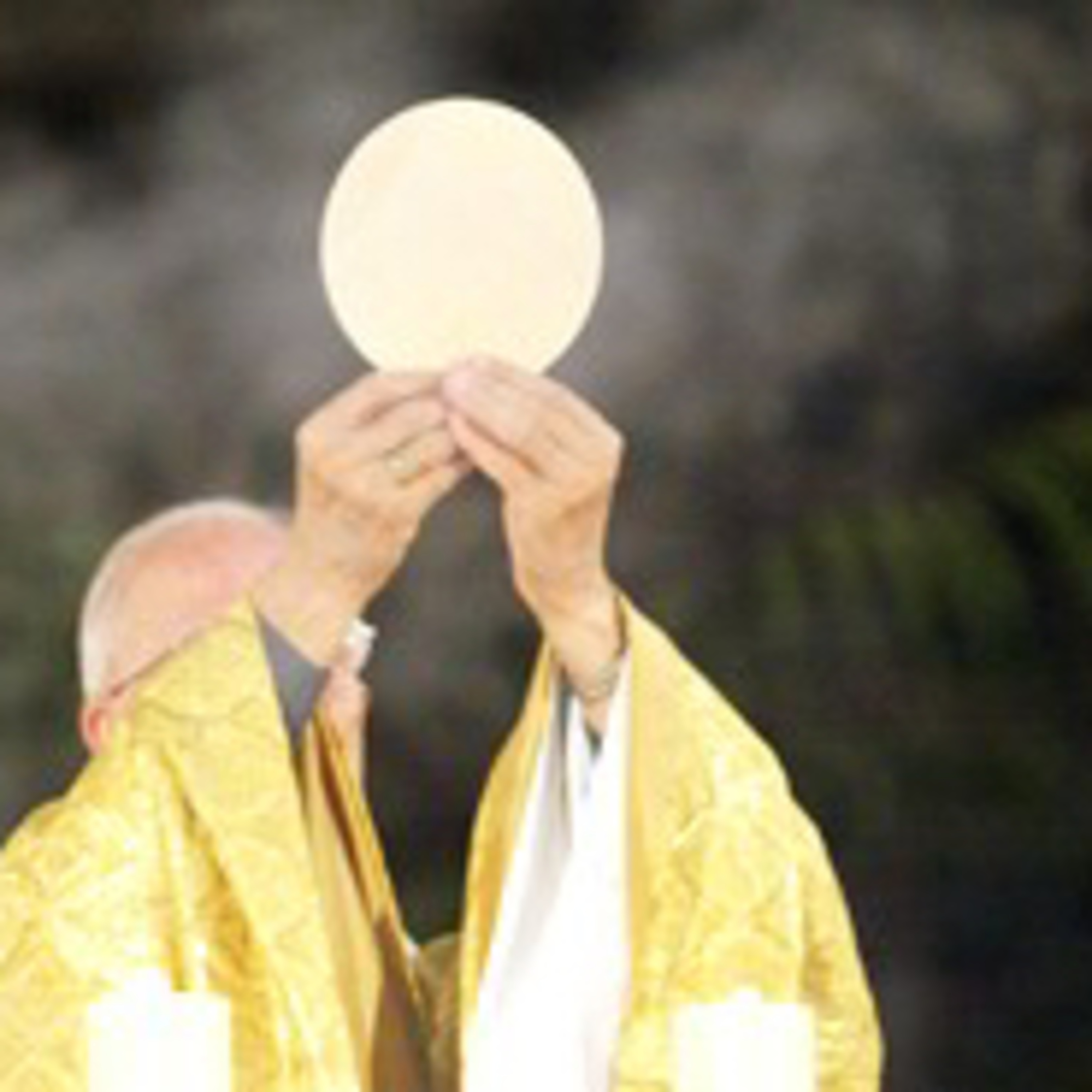 Homelies ou topo du P. Raphaël
