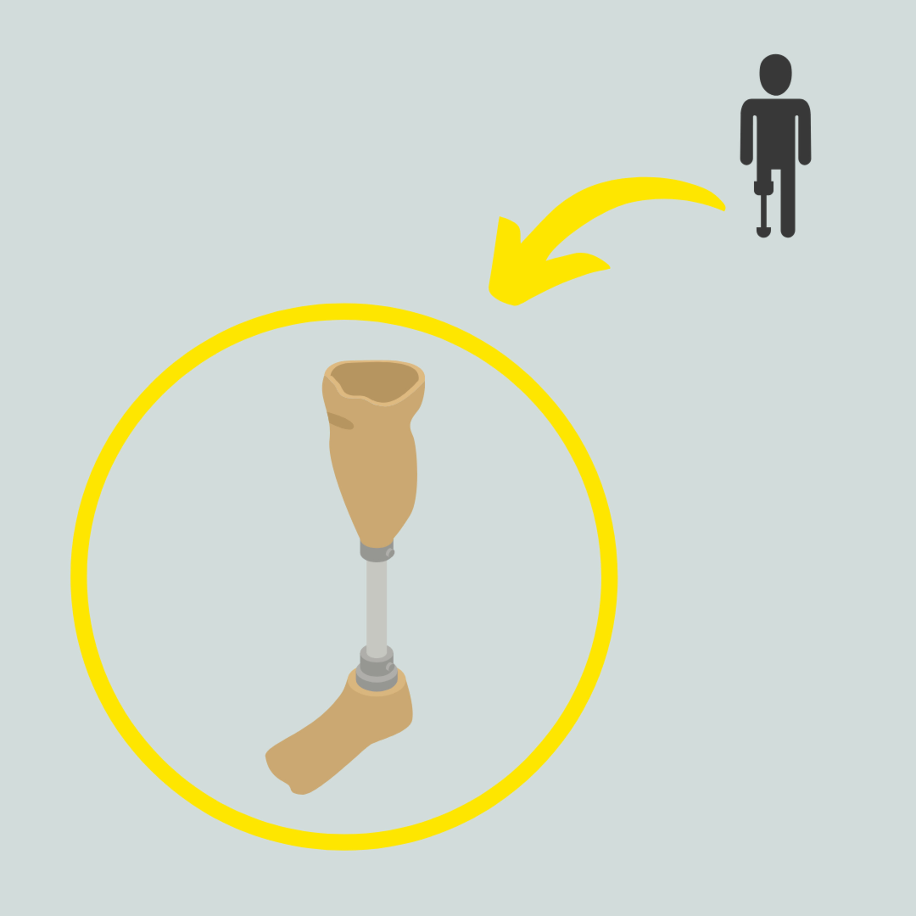 کاور Scientific Achievements of 21st Century - Bionics