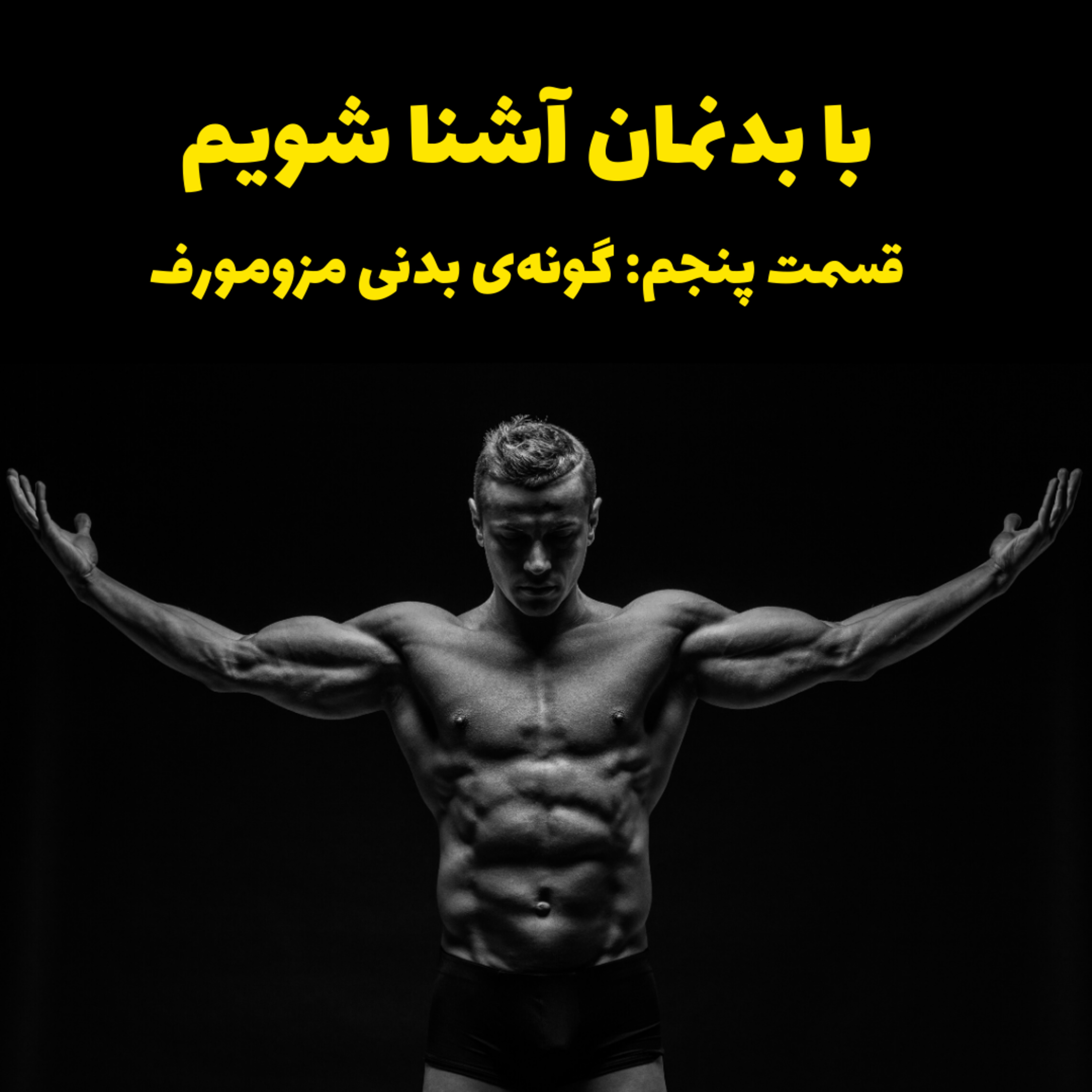 کاور Human Physique - Mesomorph Body Type