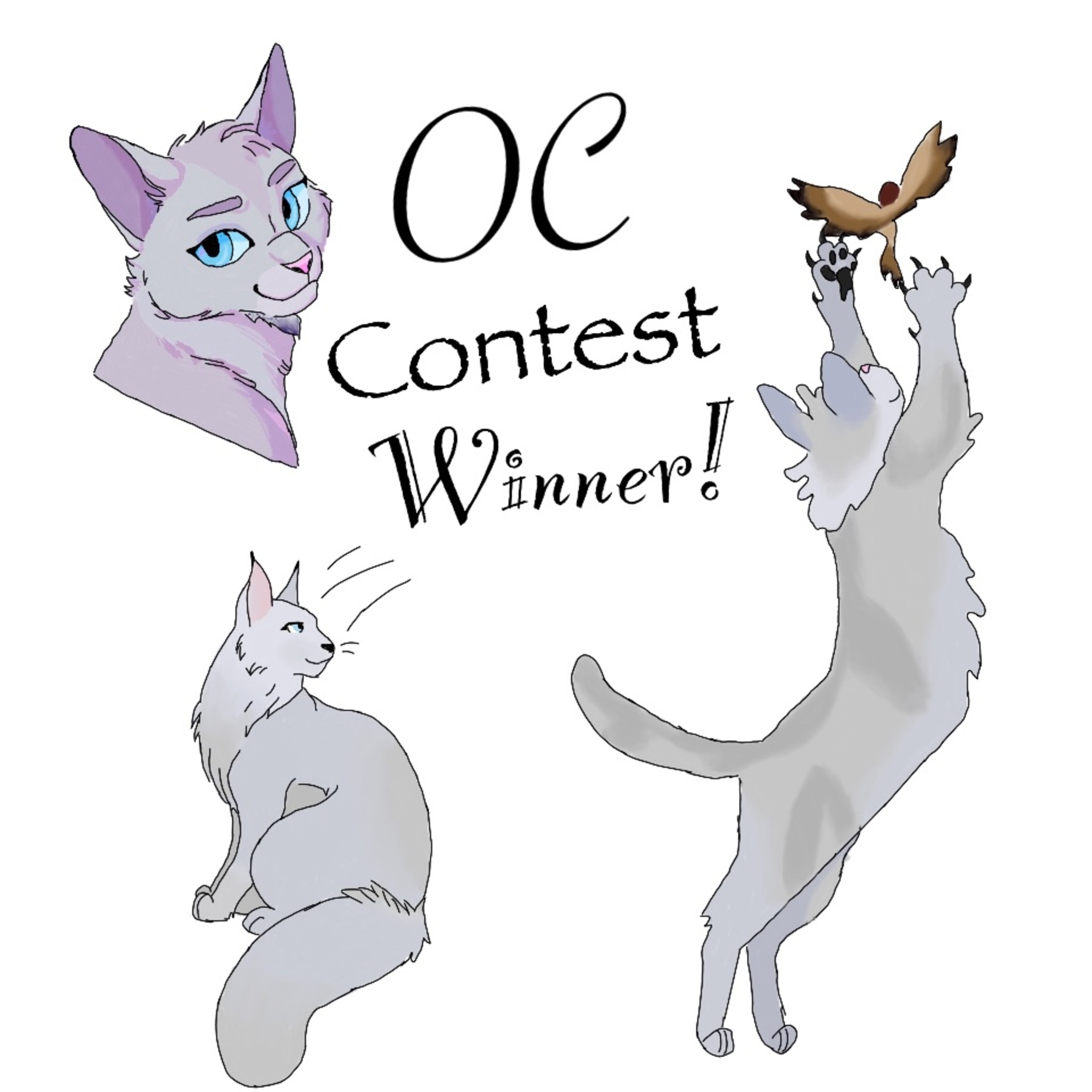 OC Winner!! episode artwork