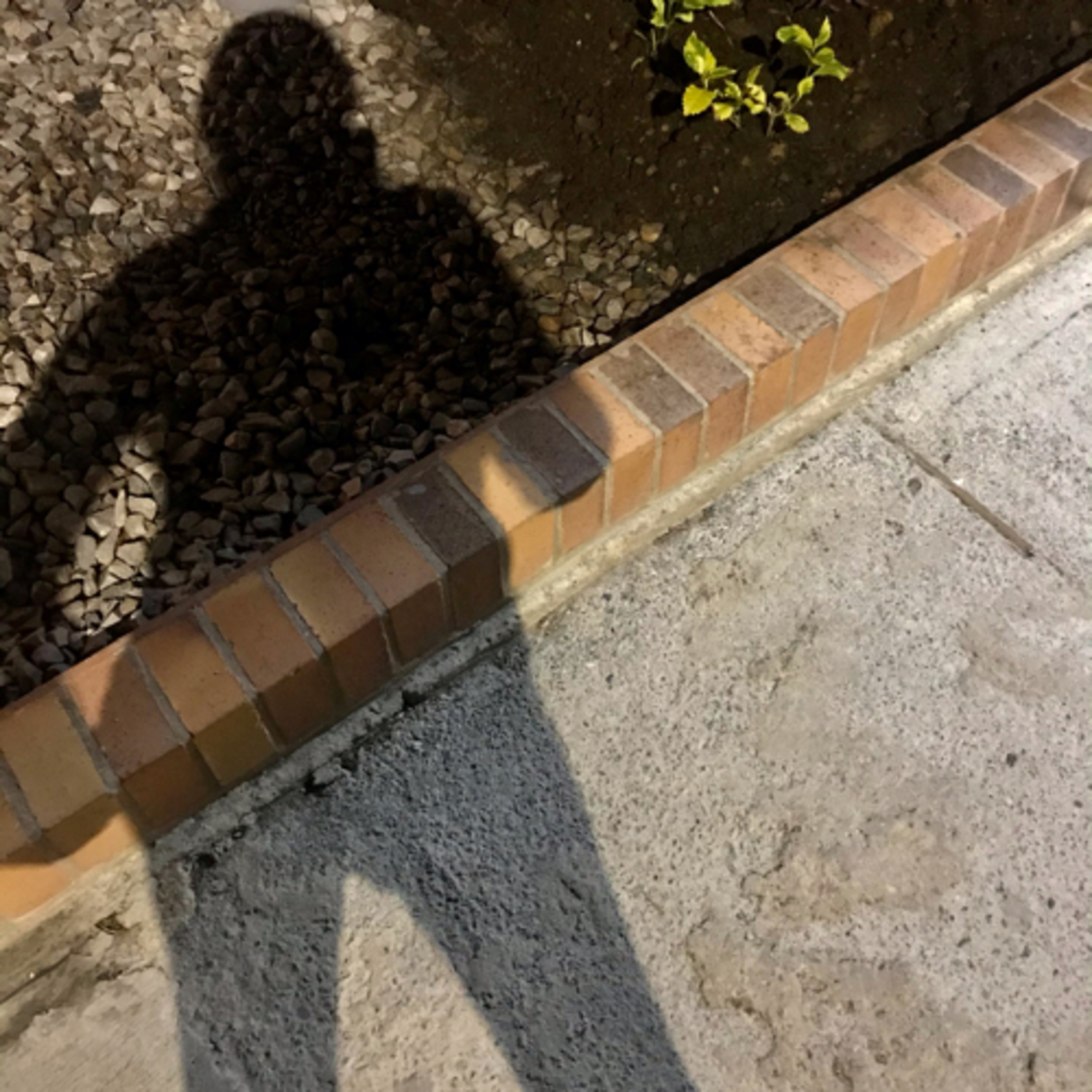 Lecturas para deleitarse