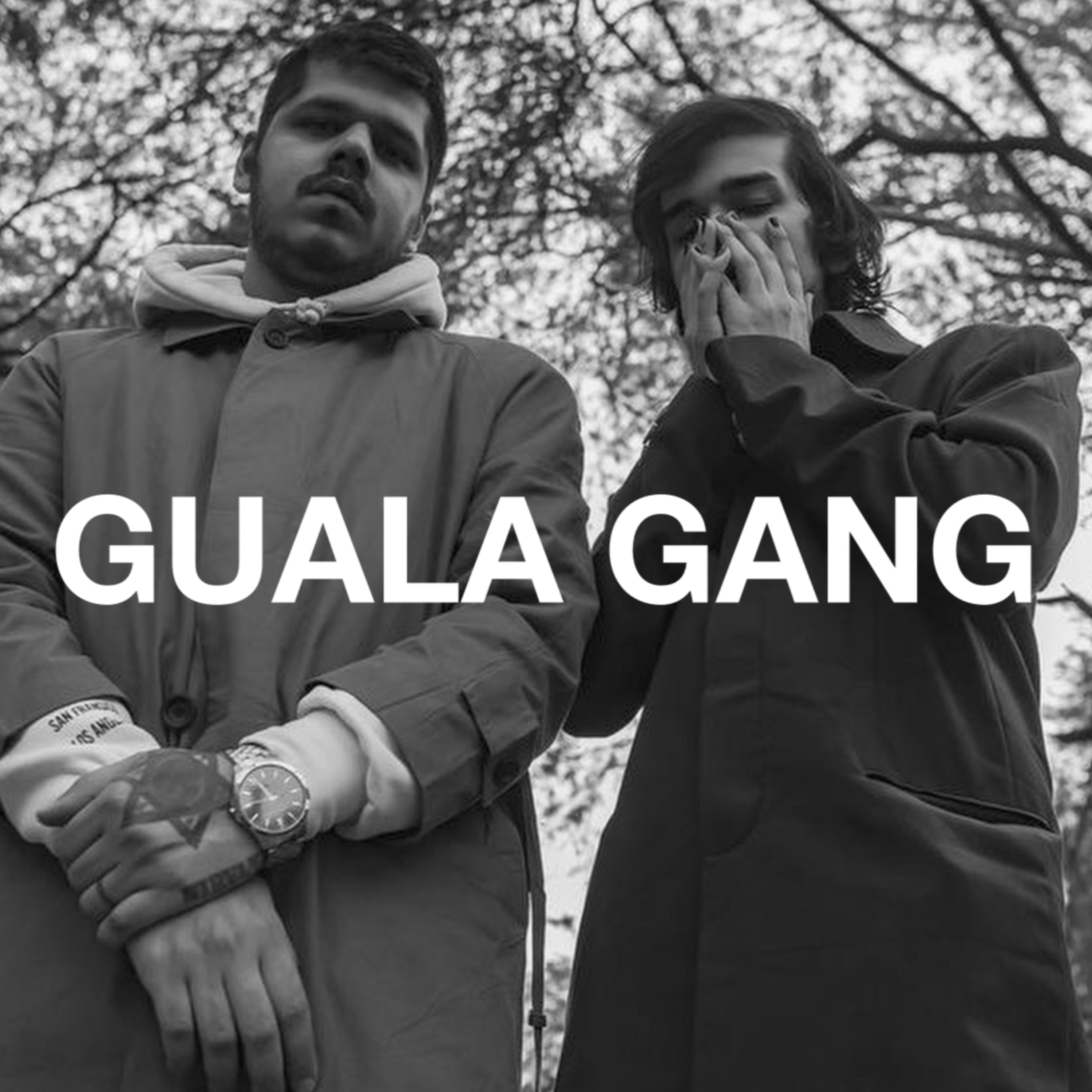 GUALA GANG